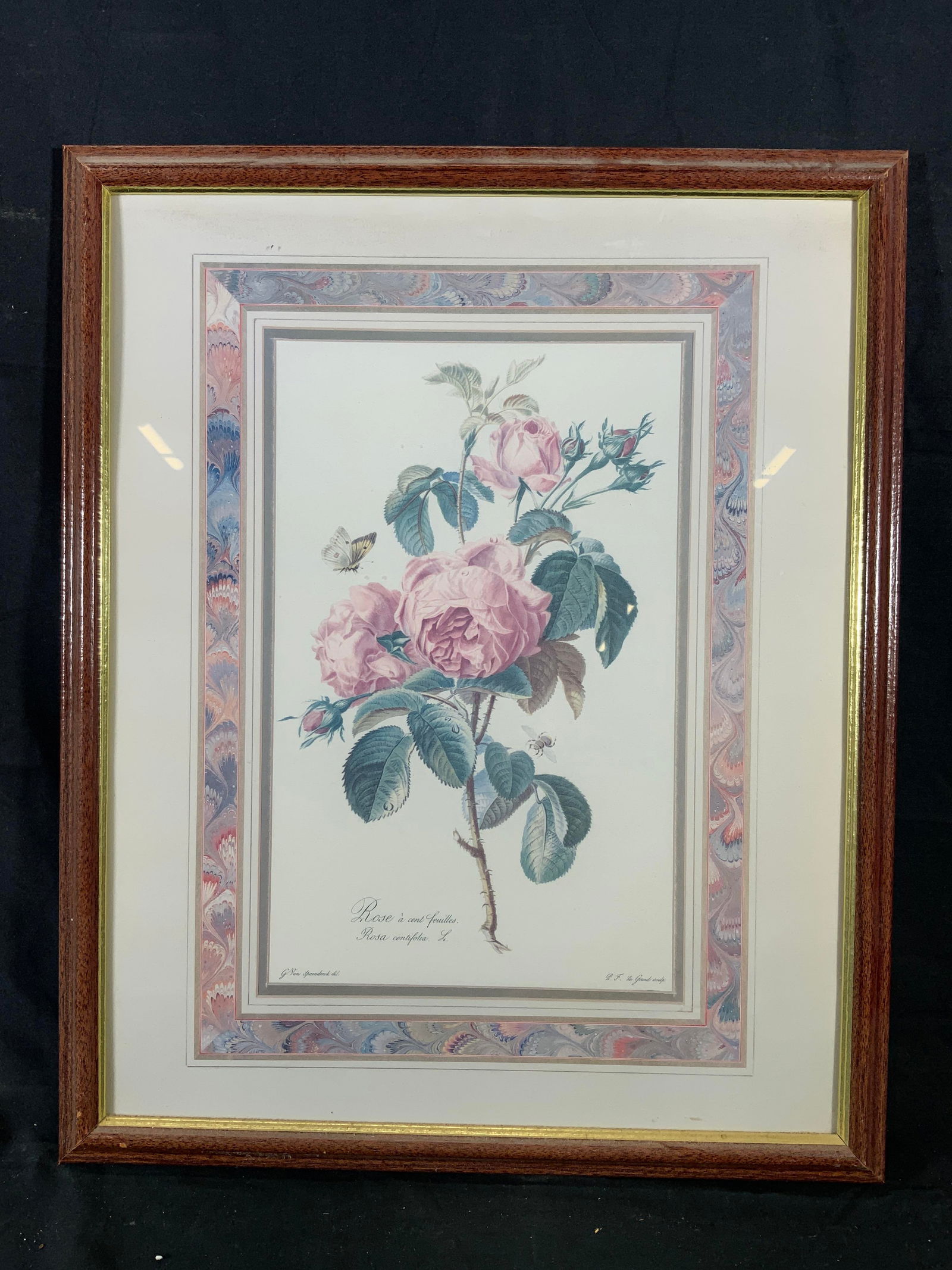 Framed Bumblebee & Rose G. Van Spaendonck Litho (1 of 12)