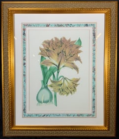 Jacobean Lily Book of the World Carl Hoffman