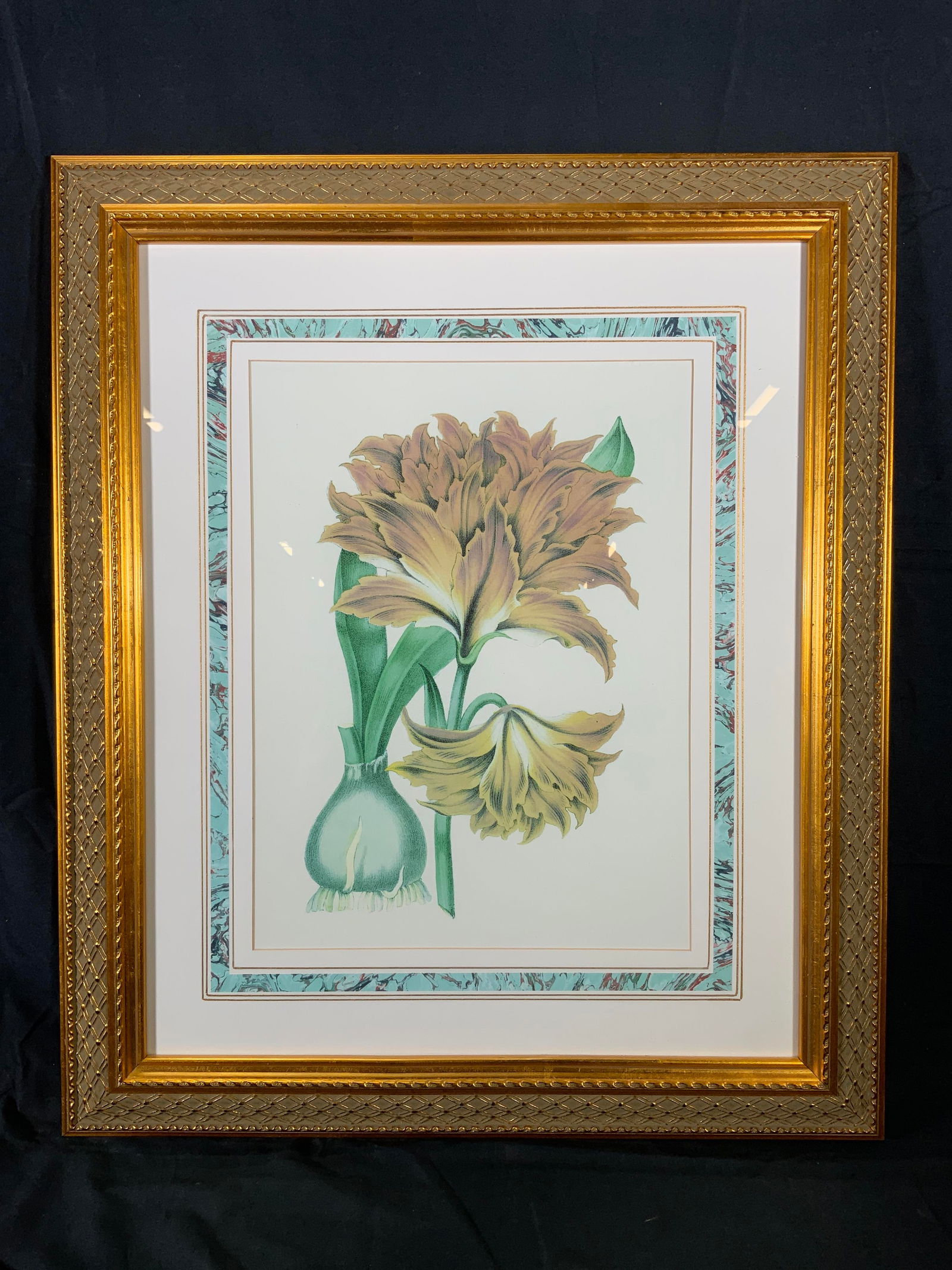 Jacobean Lily Book of the World Carl Hoffman: Lithograph on paper. Art after an Illustration from 1867 Book of the World by Carl Hoffman. Subject depicts a Jacobean Lily flower and bulb. Framed in a gilt frame with a raised lace motif. Frame meas