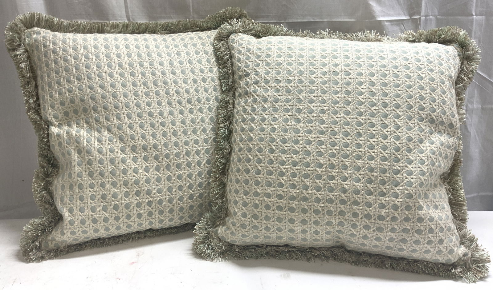 Pair Patterned Throw Pillows W Fringed Edges (1 of 8)