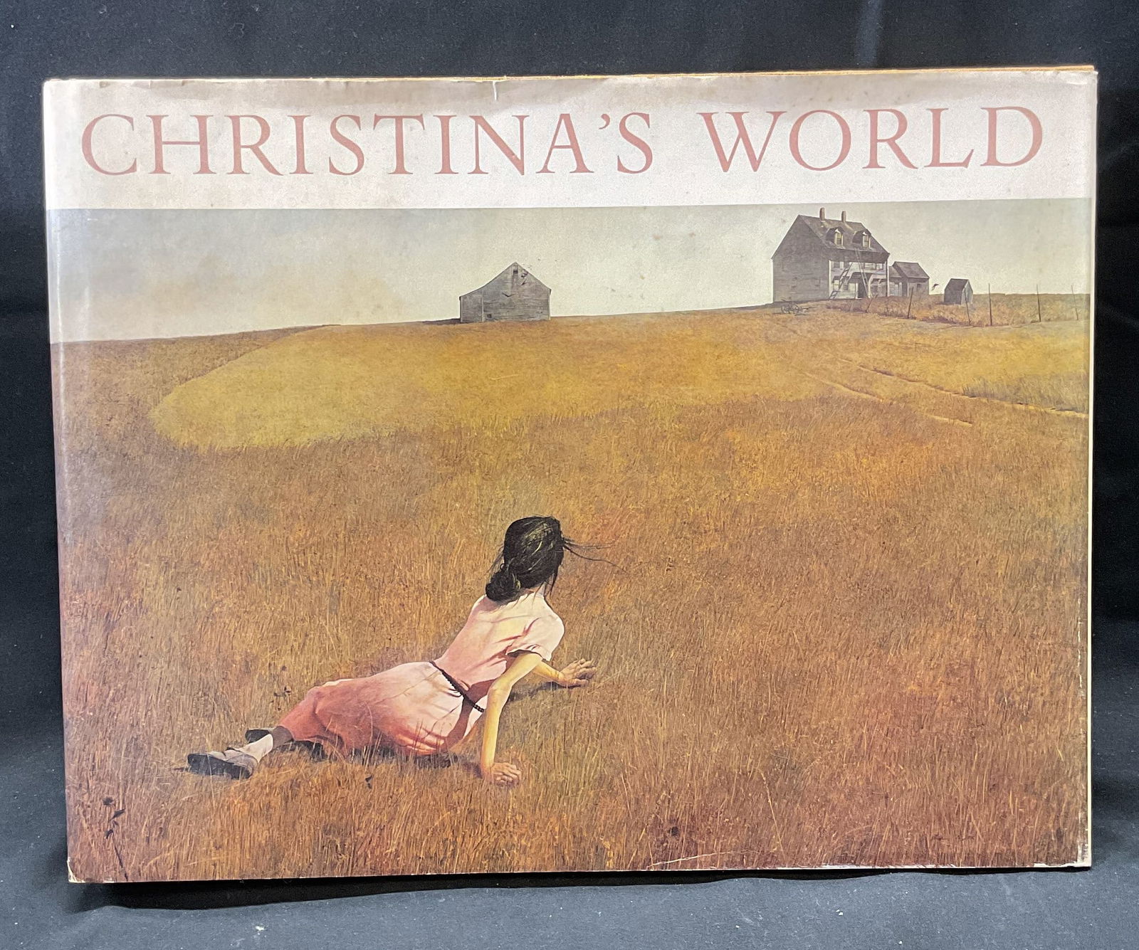 Christinas World, Andrew Wyeth, Hardcover 1982 (1 of 7)