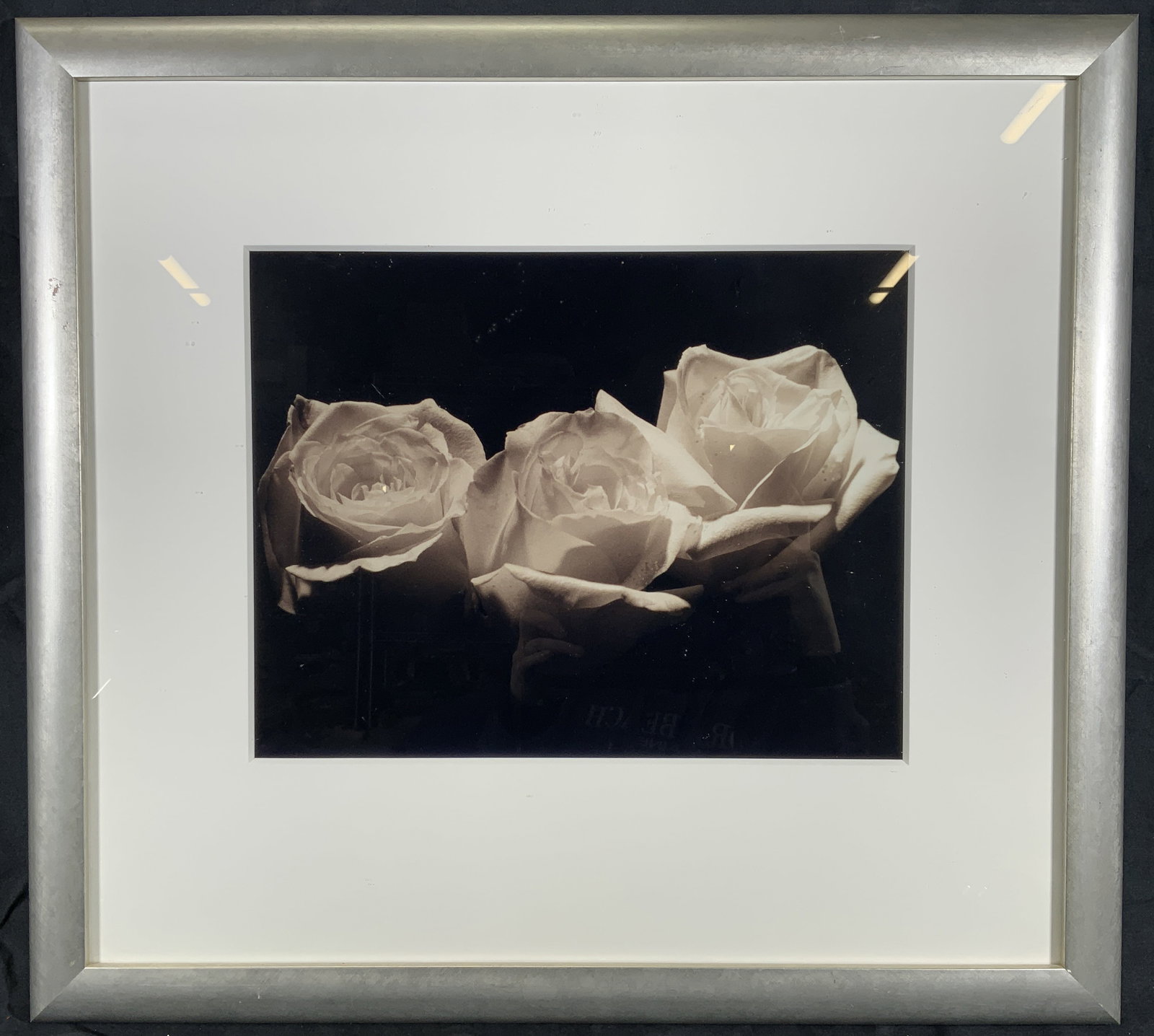 Framed Three White Roses Black & White Photograph: Photograph on paper. Subject depicts three white roses in black and white. Framed in a silver gilt wooden frame. Frame measures approx. 23 W x 21H in. Window measures approx. 20 W x 18 H in. Not viewe
