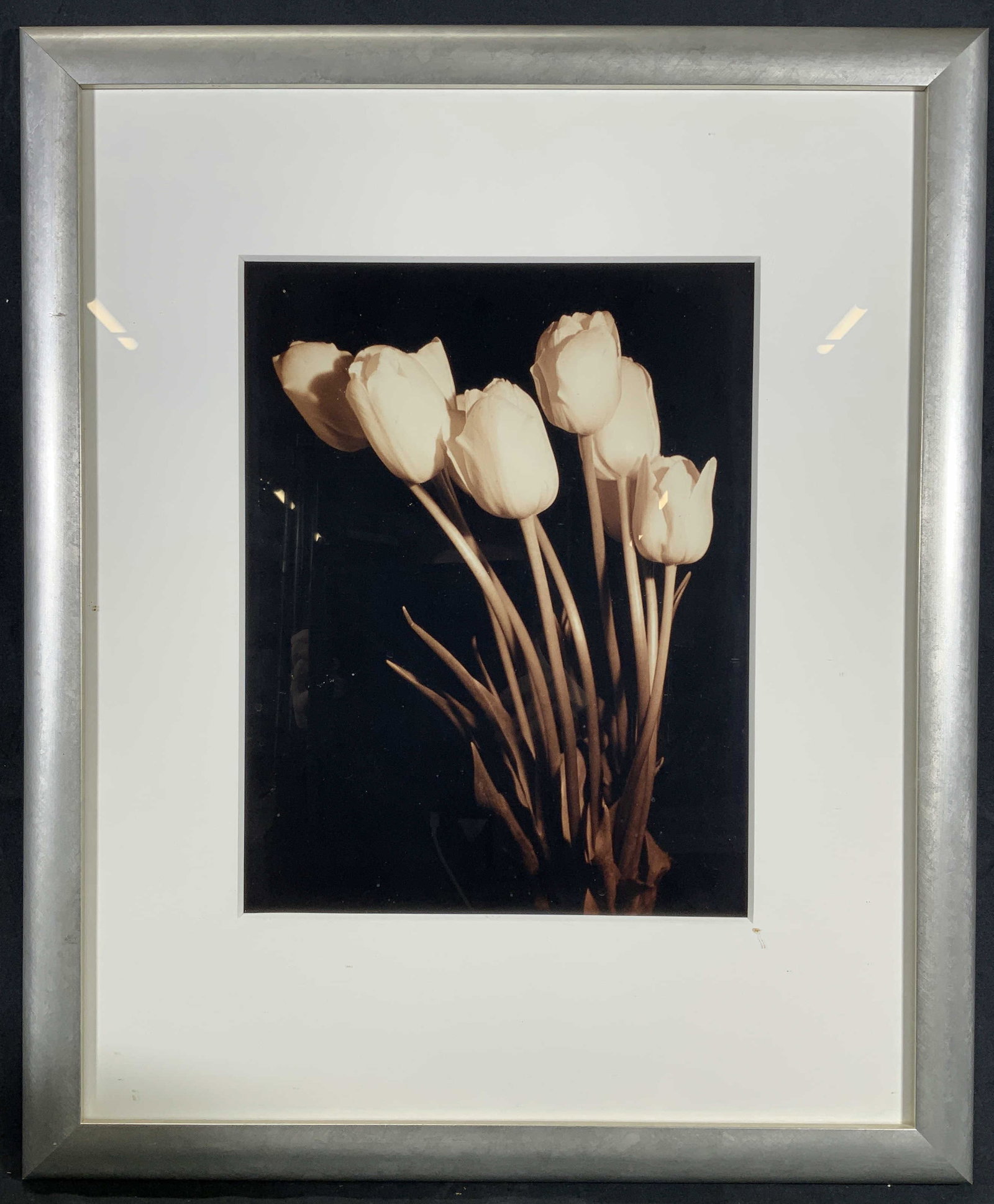 Framed Black & White Sepia Tulips Photograph: Photograph on paper. Subject depicts a black and white photo of a bundle of tulips. Framed in a silver gilt wooden frame. Frame measures approx. 20 W x 24 H in. Window measures approx. 27 W x 21 H in.
