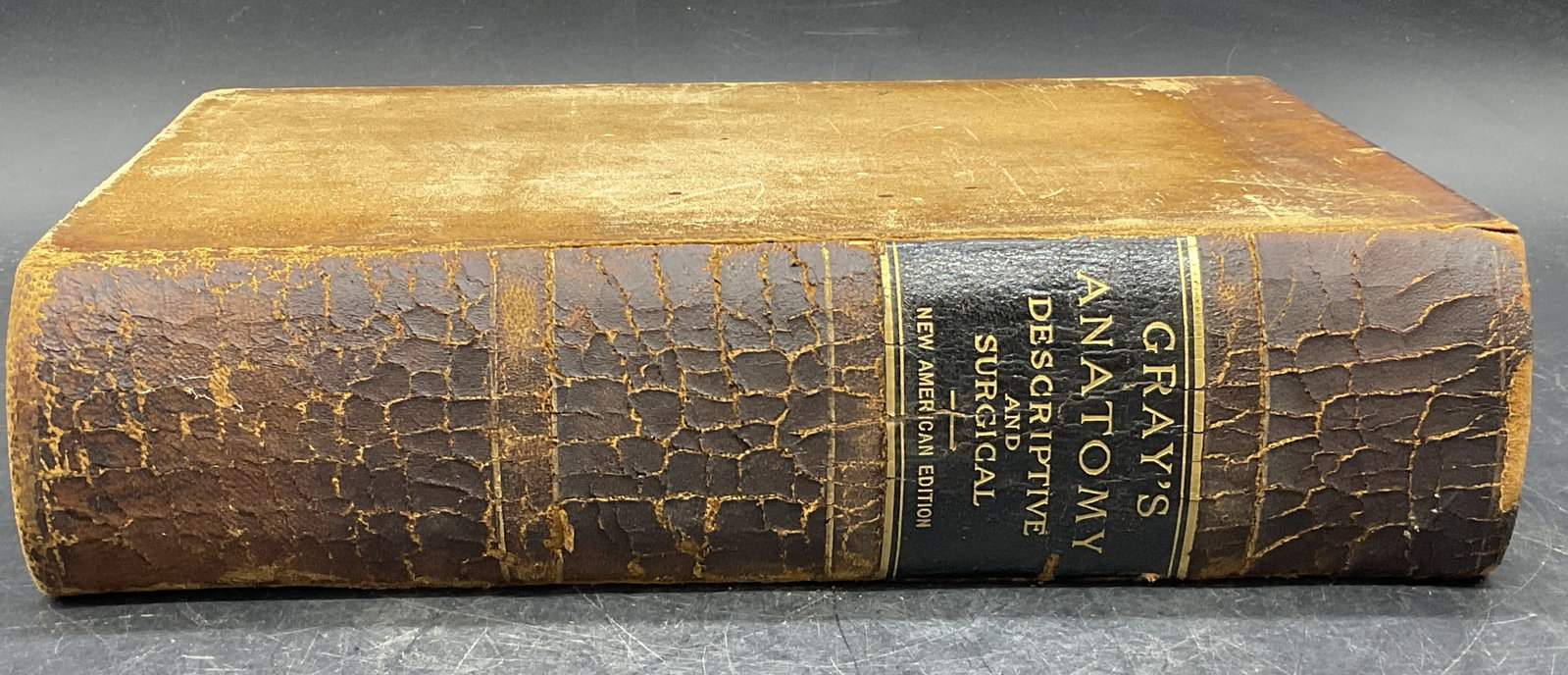 GRAYS ANATOMY DESCRIPTIVE & SURGICAL Ilstr Book: ANATOMY, DESCRIPTIVE AND SURGICAL BY HENRY GRAY, F.R.S. THIRTEENTH ENGLISH EDITION, EDITED BY T. PICKERING PICK, F.R. C.S. WITH 772 ILLUSTRATIONS. LEA BROTHERS & CO., 1897. Measures approx. 10.25L x 6