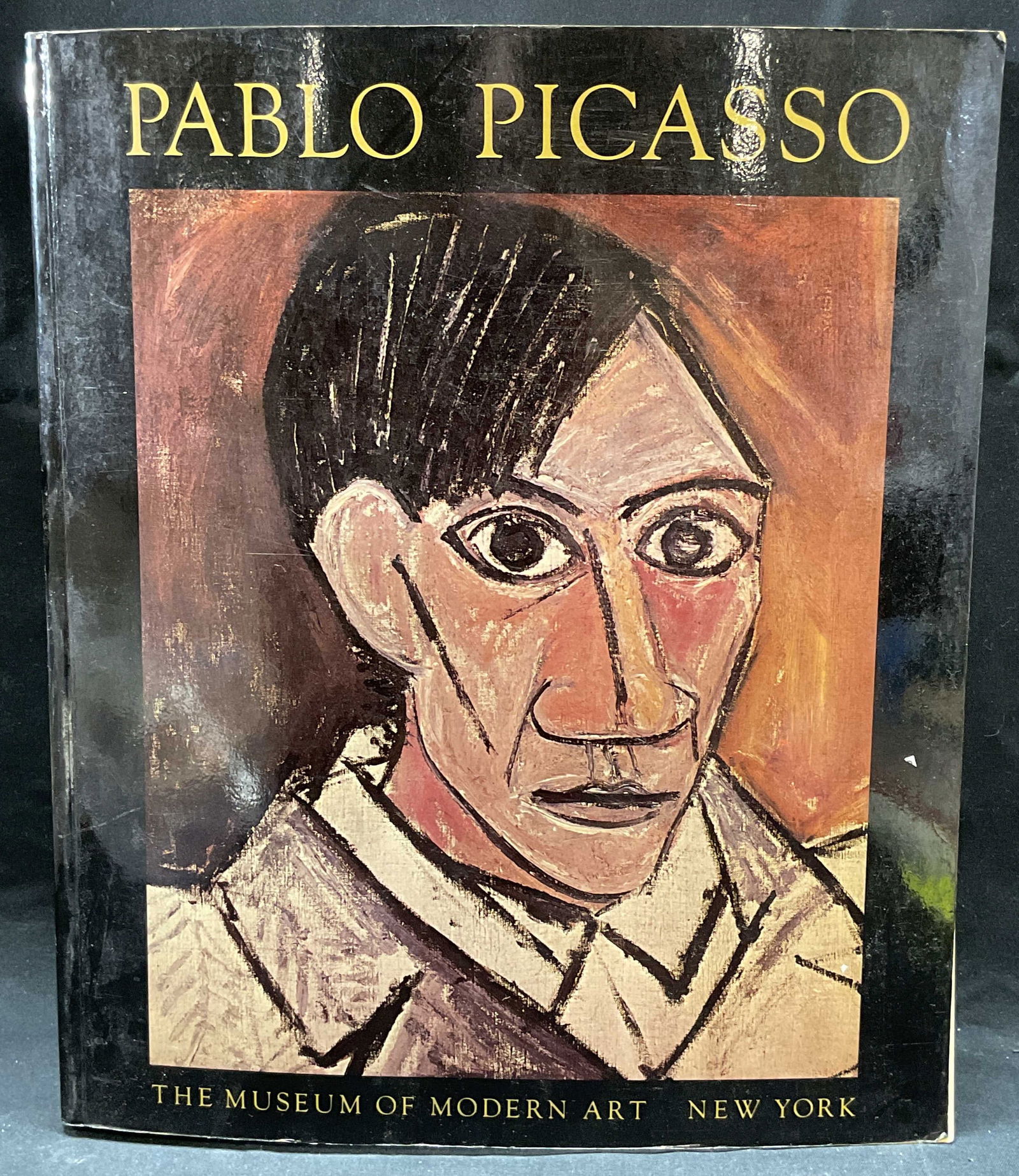Pablo Picasso Retrospective MOMA Illustr 1980 (1 of 7)