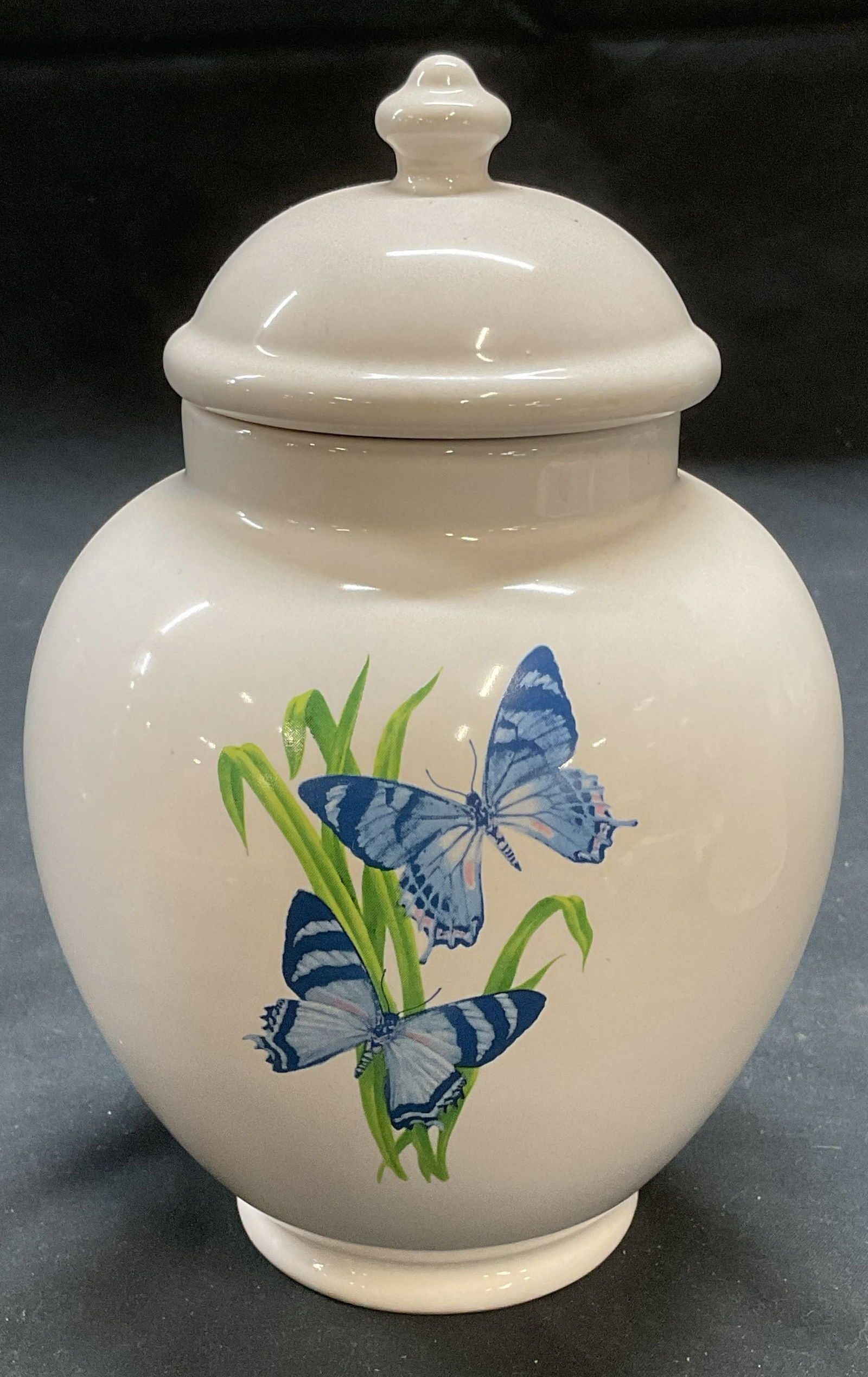 FTD Inc White Ceramic Butterfly Lidded Vessel (1 of 6)