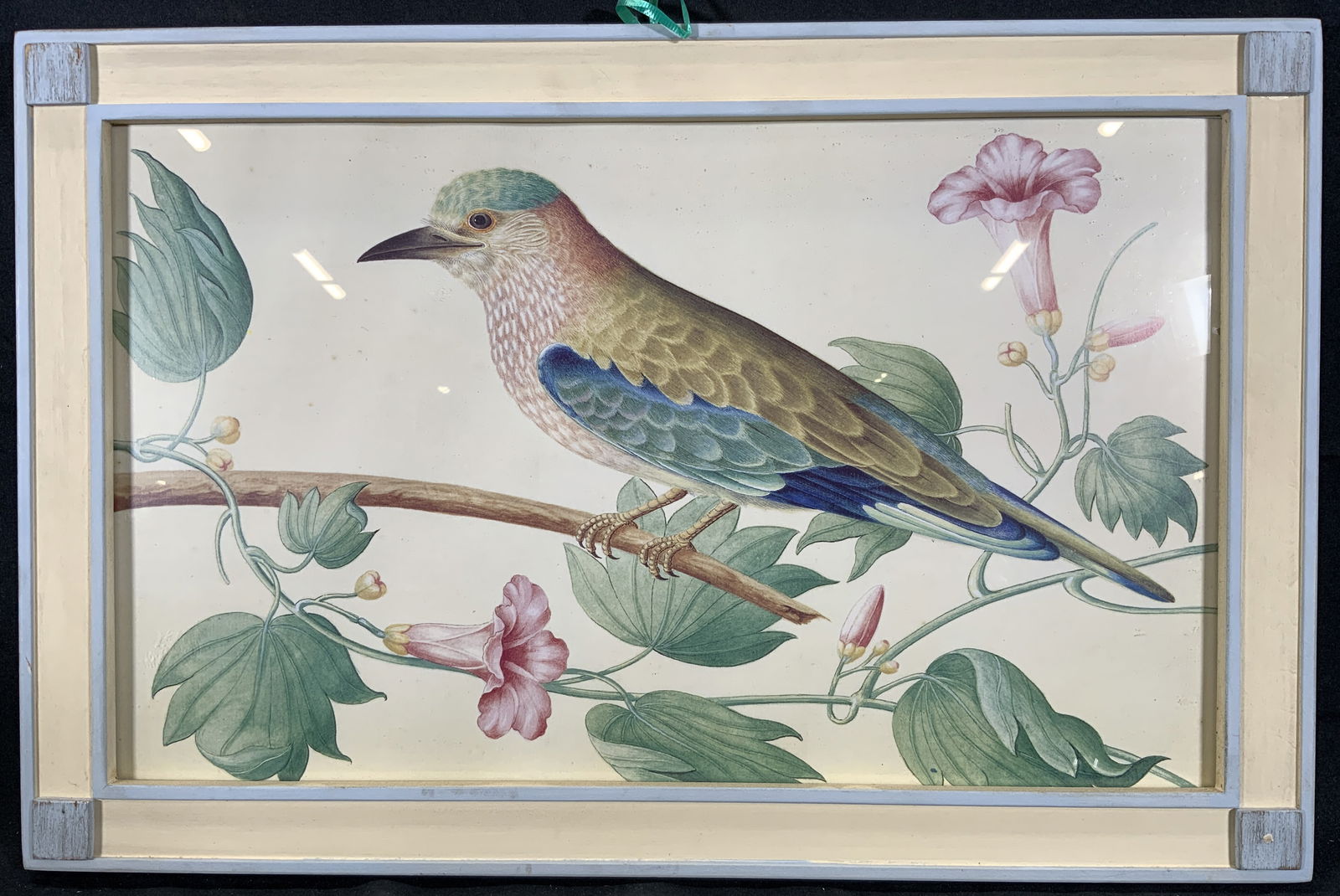 Modern School 20th Century Nature Study Litho (1 of 9)