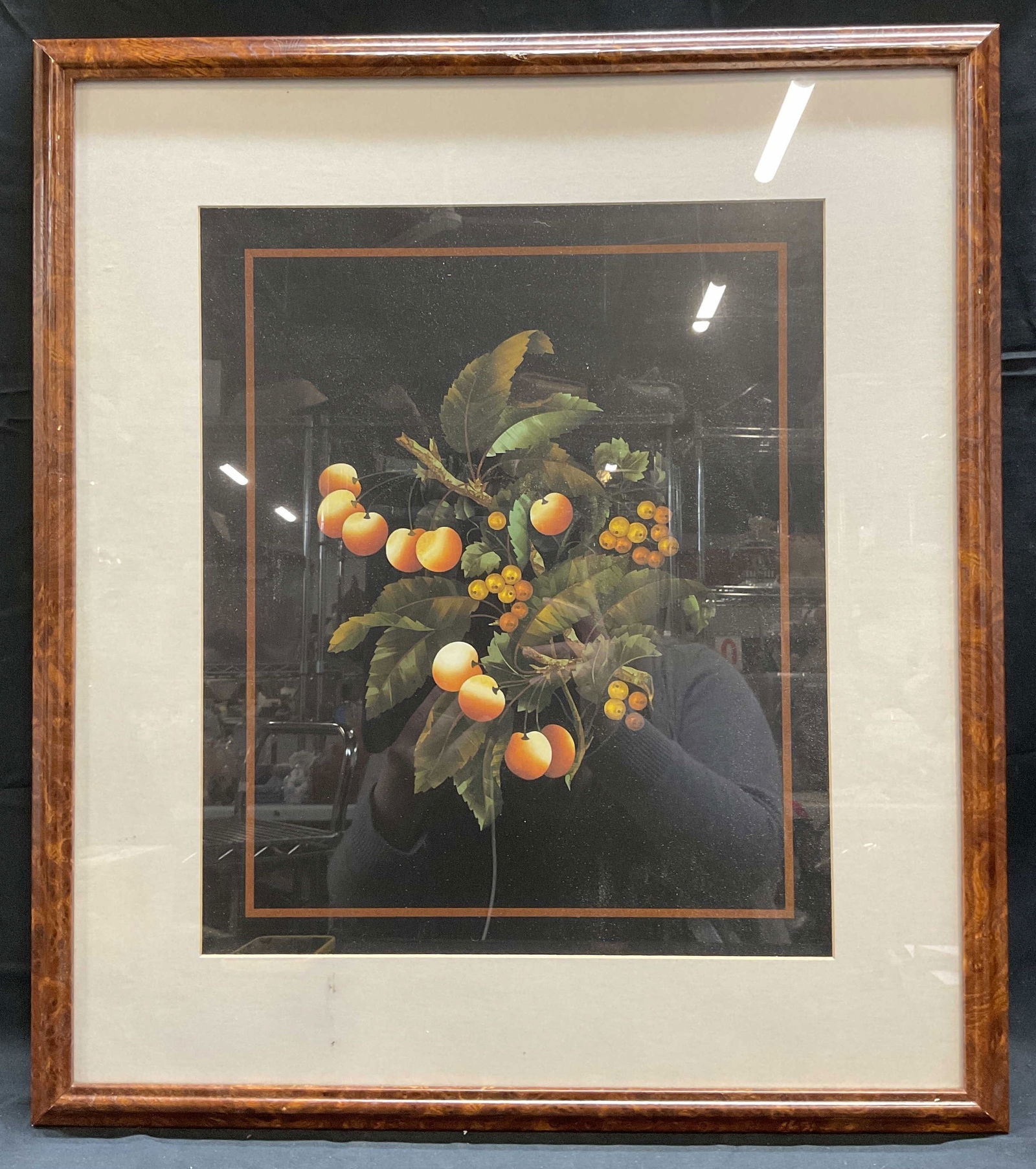 Framed Apricot Tree Lithograph (1 of 6)