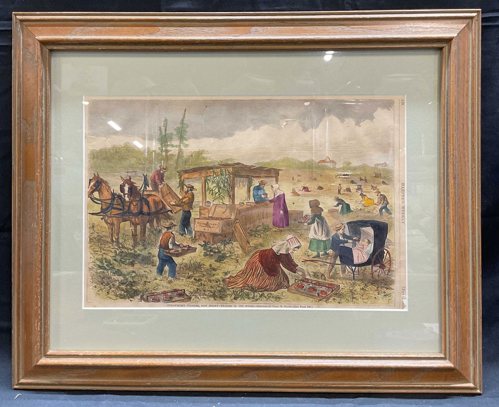 Harpers Weekly Strawberry Pickers Engraving 1869 (1 of 8)