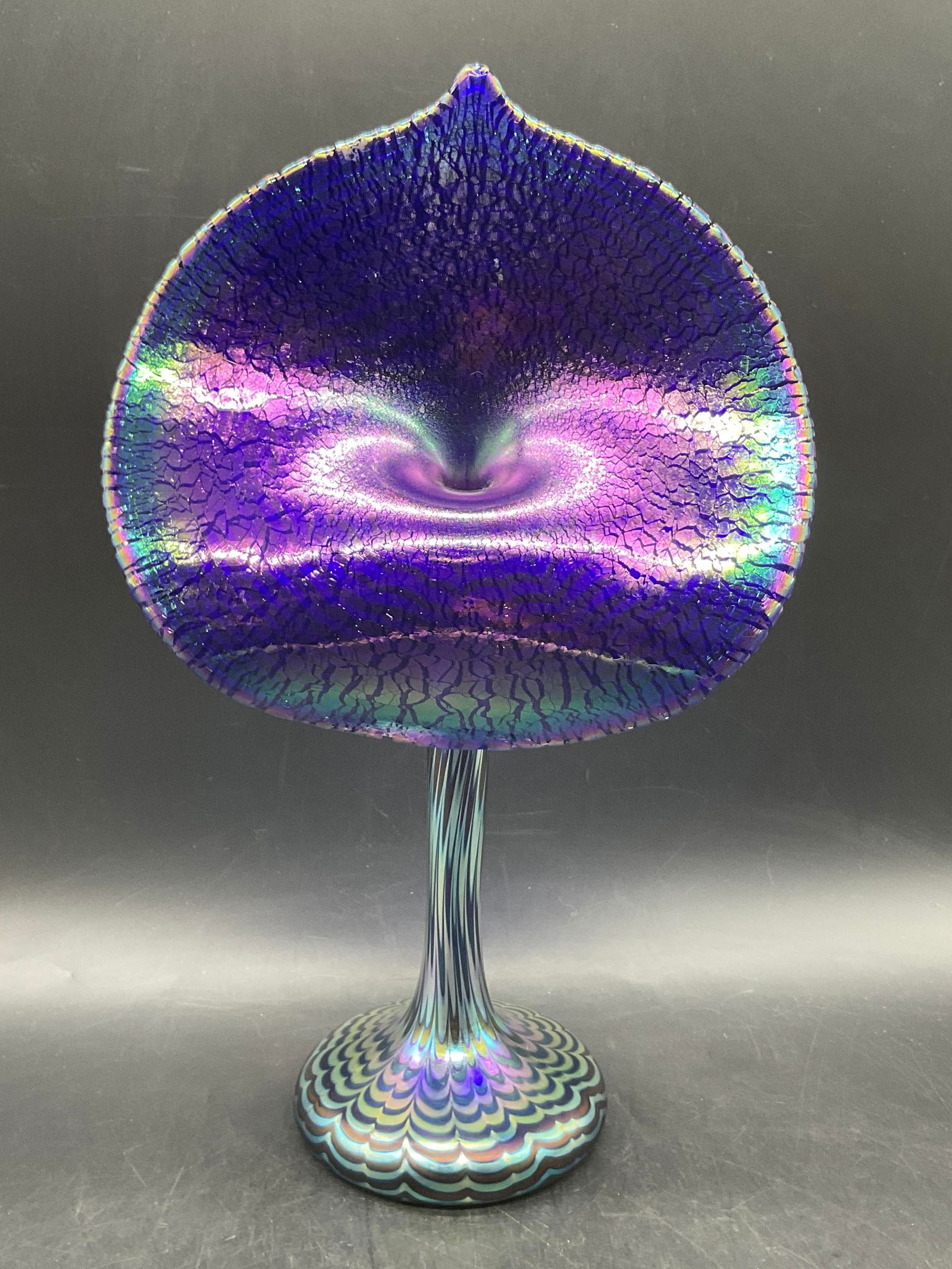 STEVEN CORREIA Iridescent Jack in the Pulpit Vase (1 of 12)