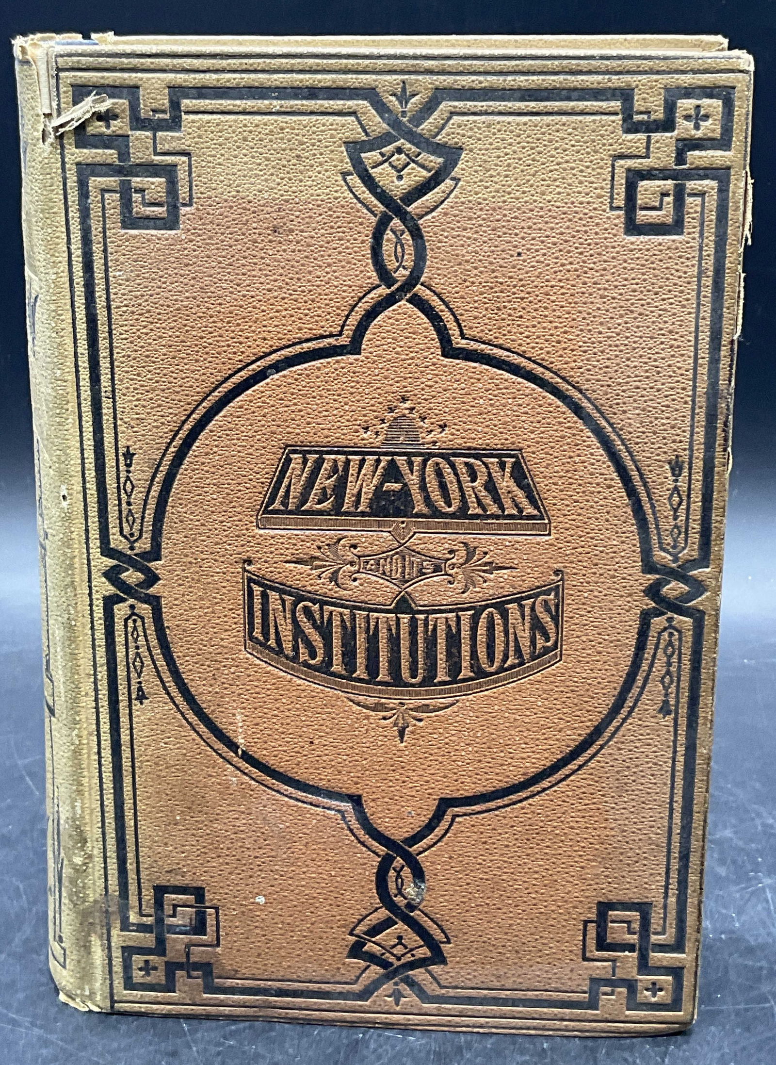 NEW YORK and its INSTITUTIONS 1609-1871 Ilstr Book (1 of 9)