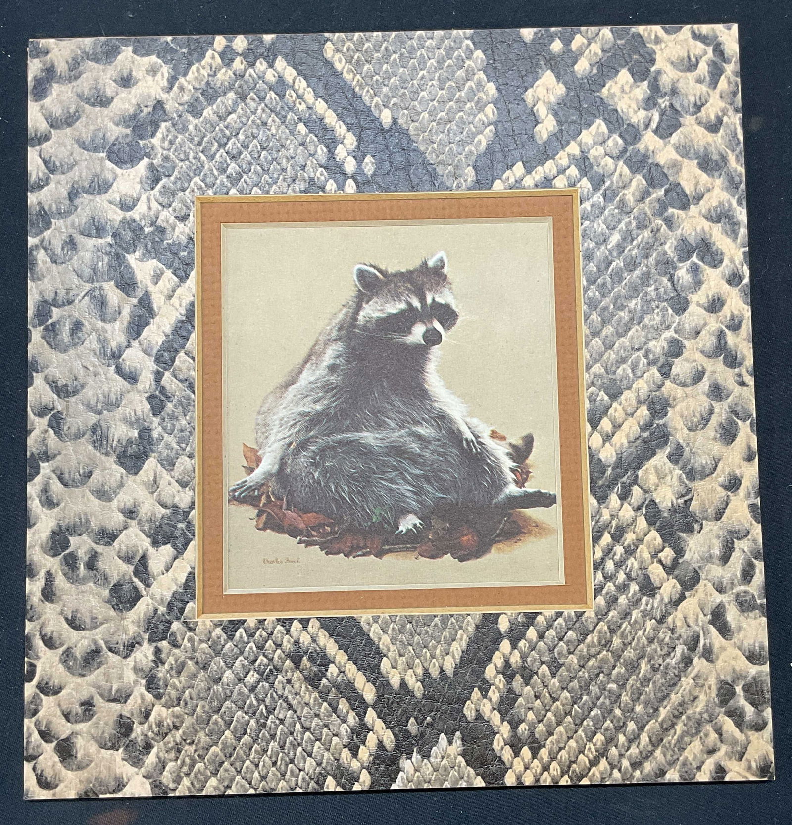 Charles Frace Raccoon Lithograph Print (1 of 6)