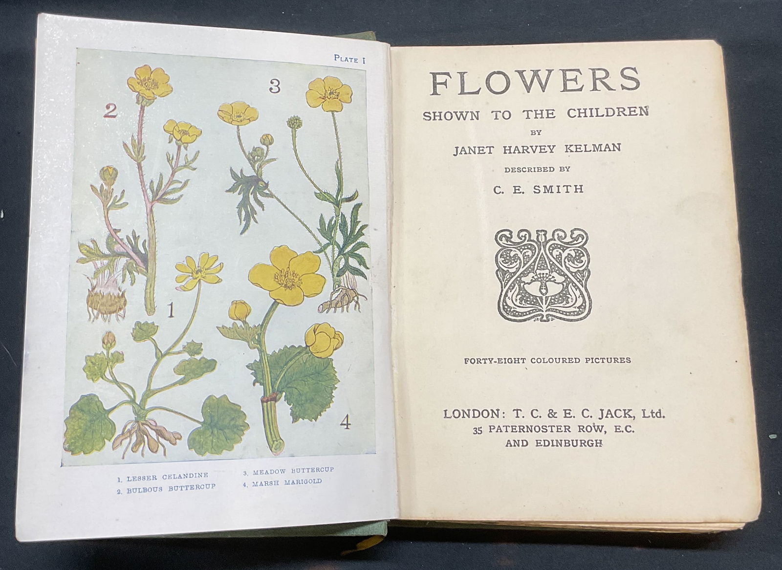 Antique Flowers Shown to Children Book, Illustr (1 of 6)