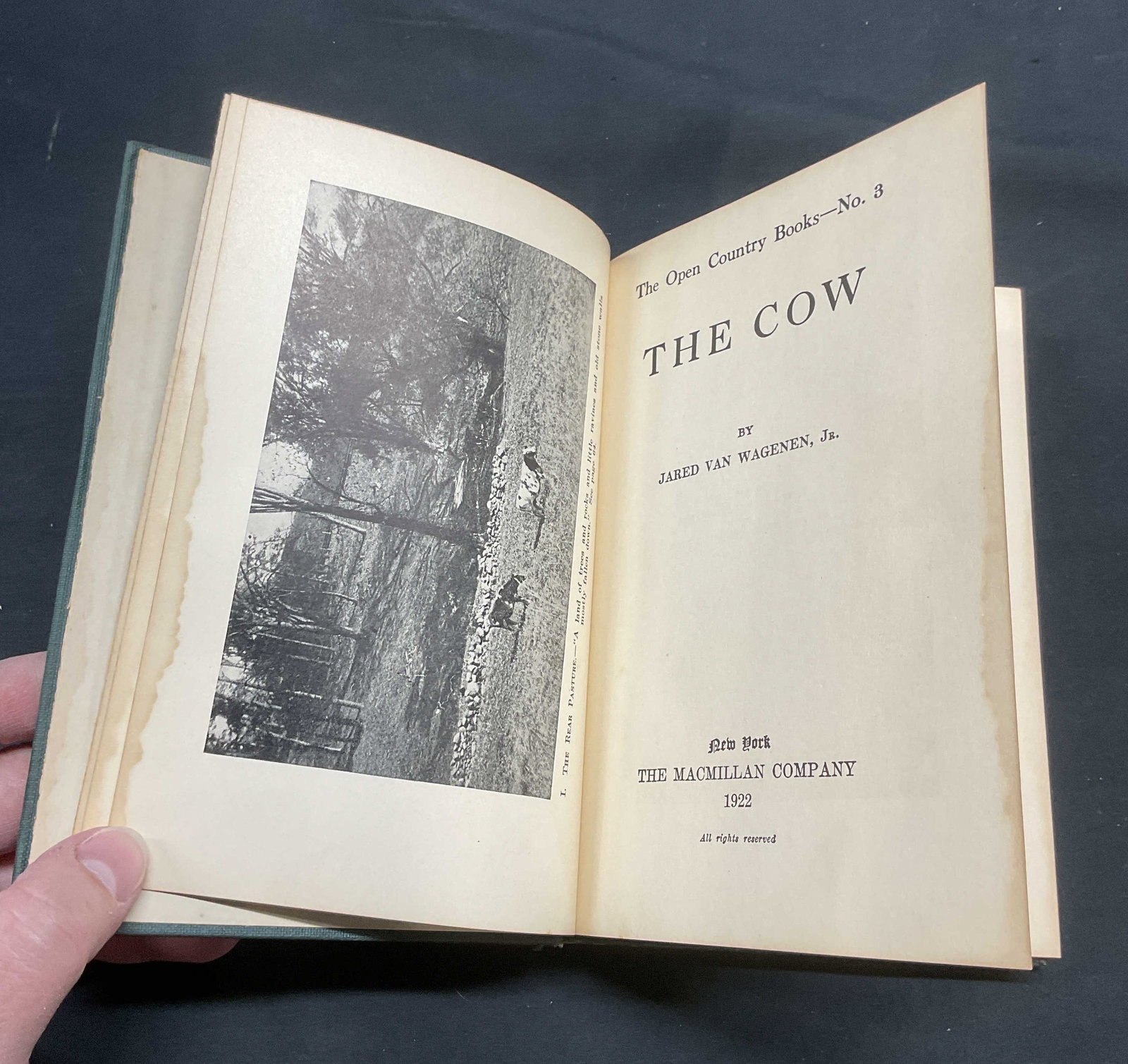 Antique The Cow, Jared Van Wagenen, Illustr: Antique ha4cover copy of The Cow by Jared Van Wagenen. Illustrated. Published by The Macmillan Company, 1922. Measures approx 7.25 x 5 inches. Some wear to cover, pages, and binding consistent with ex
