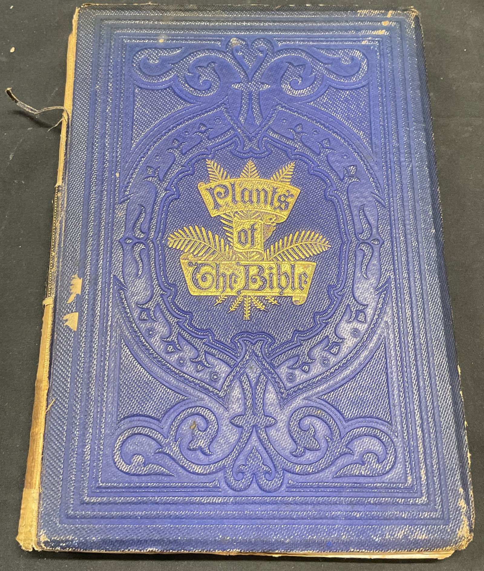 1857 Plants of the Bible, Book, Illustrated: Antique hardcover copy of Plants of The Bible, Trees and Shrubs, by John Hutton Balfour. Published by T Nelson & Sons, 1857. Illustrated. Measures approx 9.5 x 6.5 inches. Wear to cover, pages, and bi