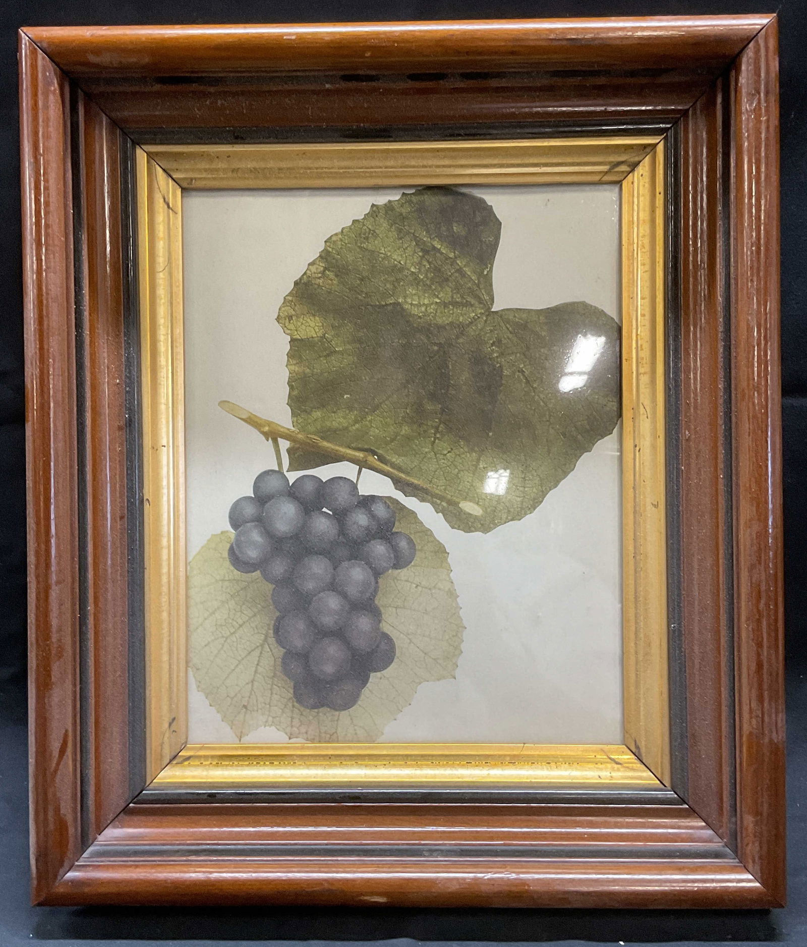 Framed Grape & Leaf Lithograph (1 of 6)