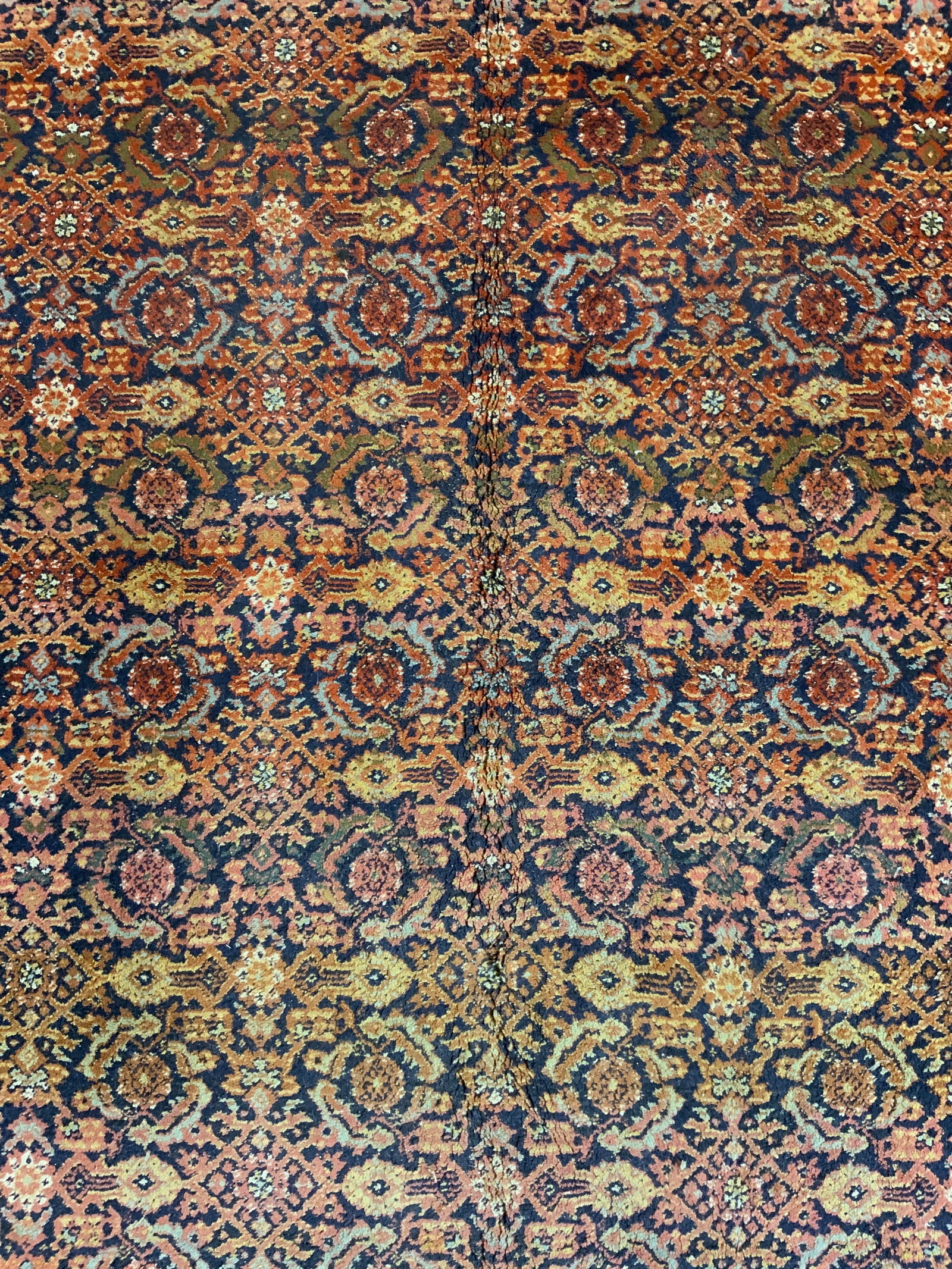 Vintage Fringed Oriental Wool Area Rug (1 of 7)