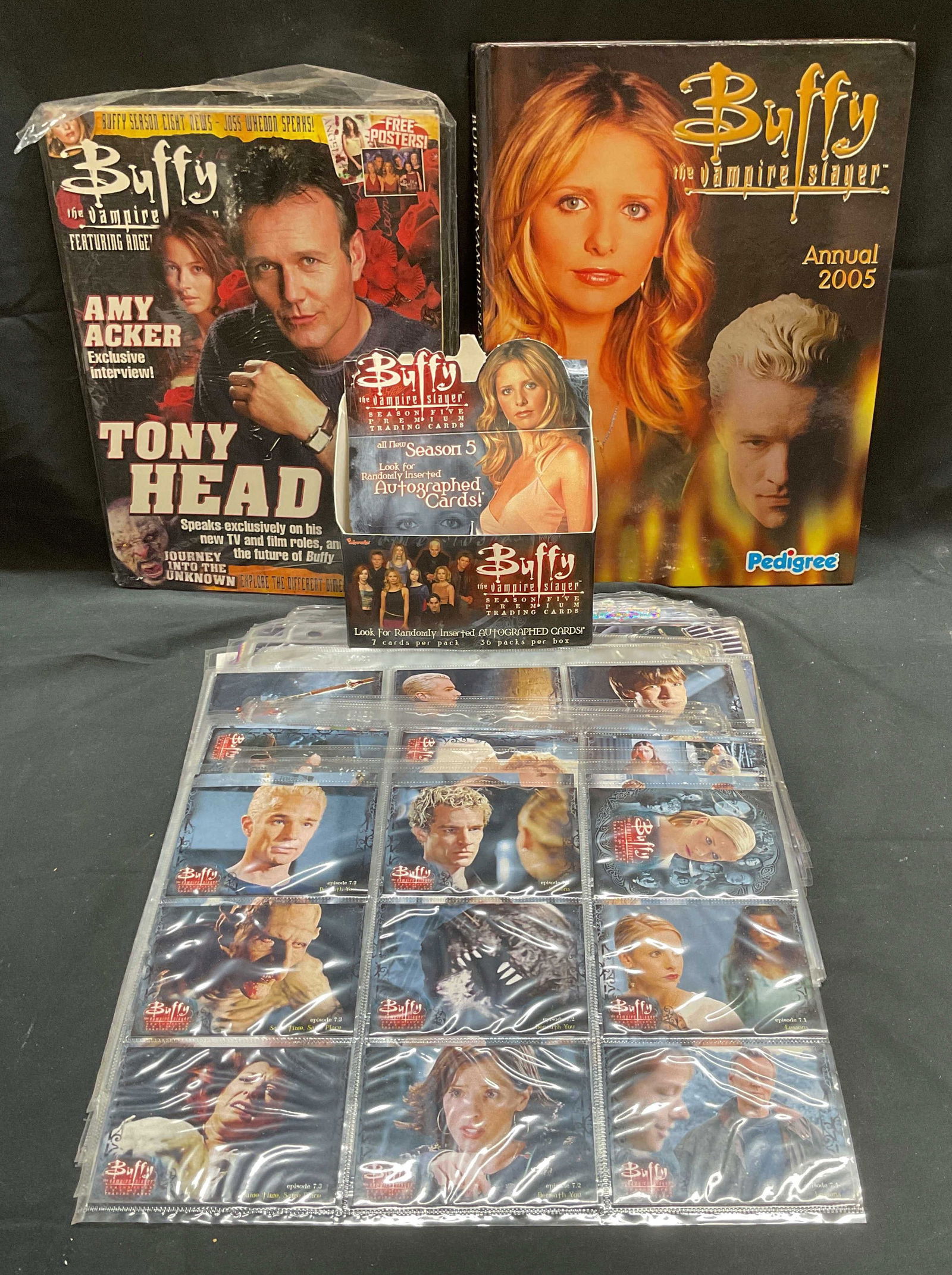 Group Lot 100+ Buffy Vampire Slayer Collectibles (1 of 6)