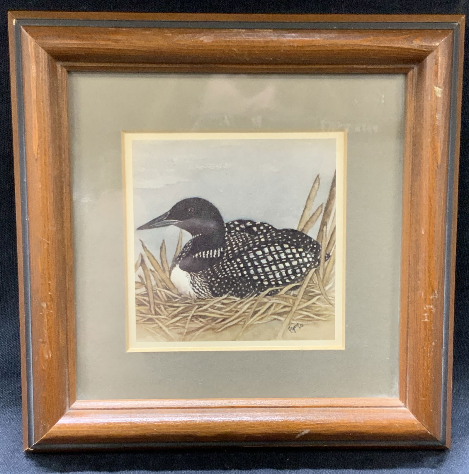 Framed Loon Lithograph: Lithograph of a black and white speckled loon in a nest. Framed in a wooden frame with gray mat board Approx 6 x 6 inches window measures 3 x 3 inches. Moderate wearing and losses to wooden frame Loon