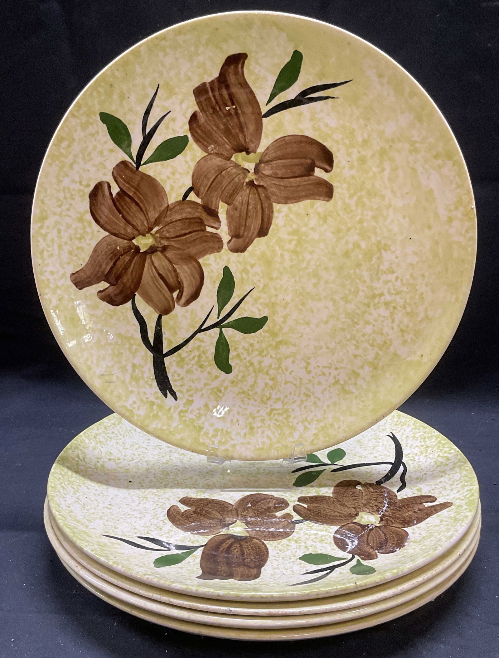 Set 5 Blue Ridge Pottery Ceramic Flower Plates (1 of 6)