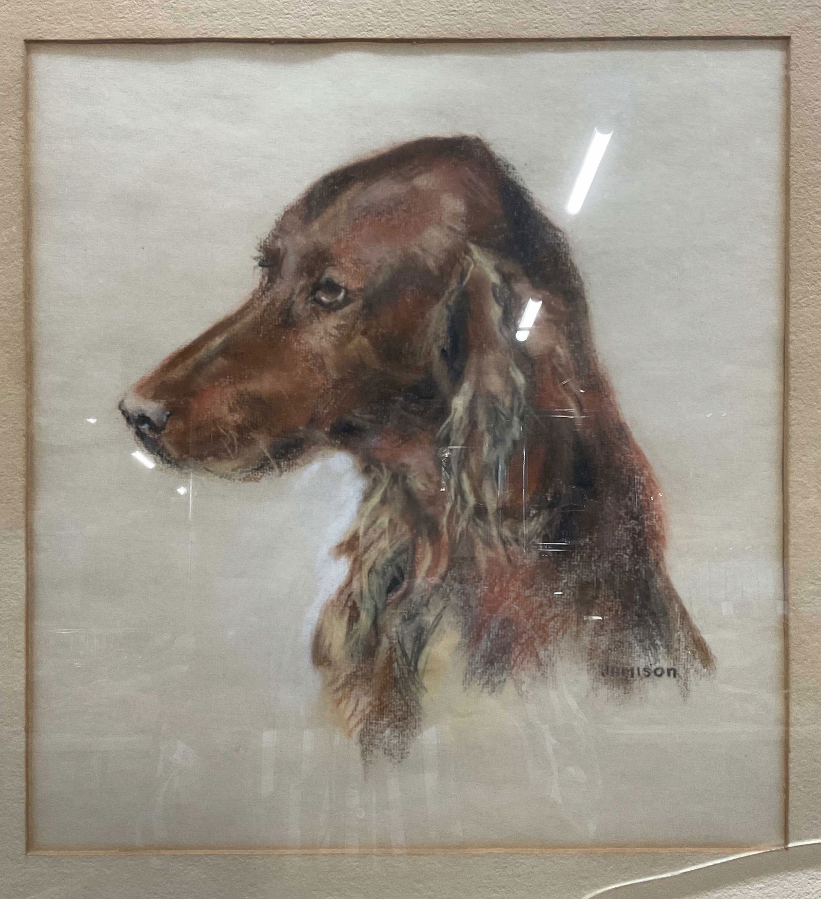 Signed Jamison Irish Setter Pastel Drawing: Framed and matted pastel on paper drawing. Signed Jamison at lower right. Head of an Irish setter dog in brown. Framed in wood frame. Not examined out of frame. Wear including scratching, separation t