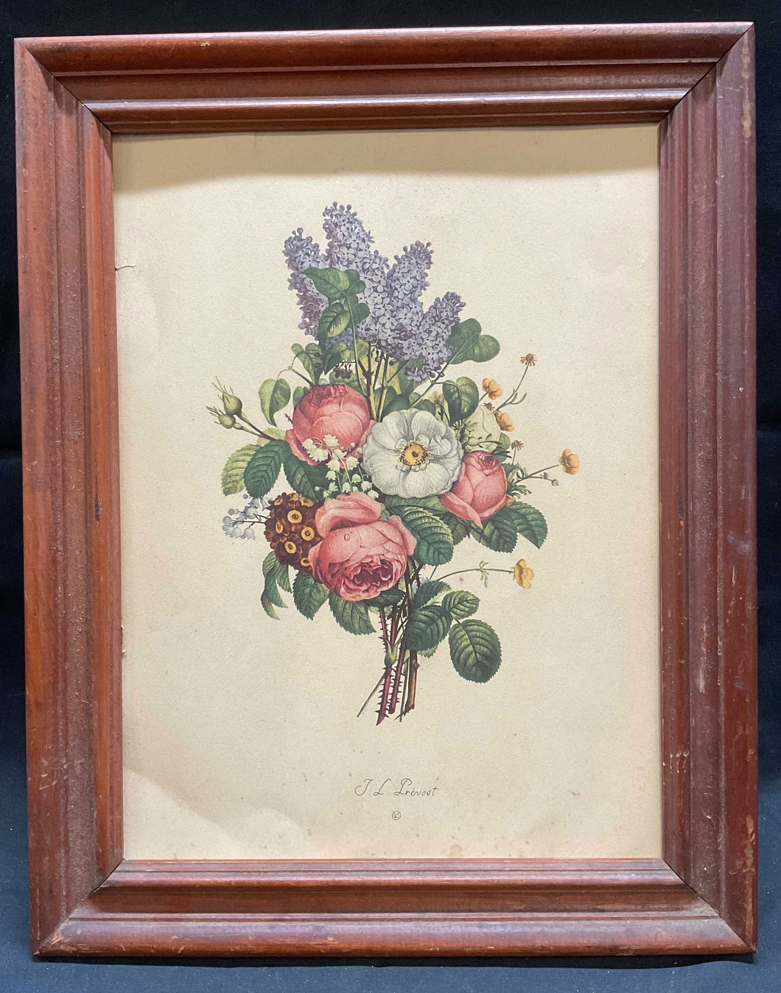 After J. L. Prevost Botanical Flower Lithograph (1 of 6)