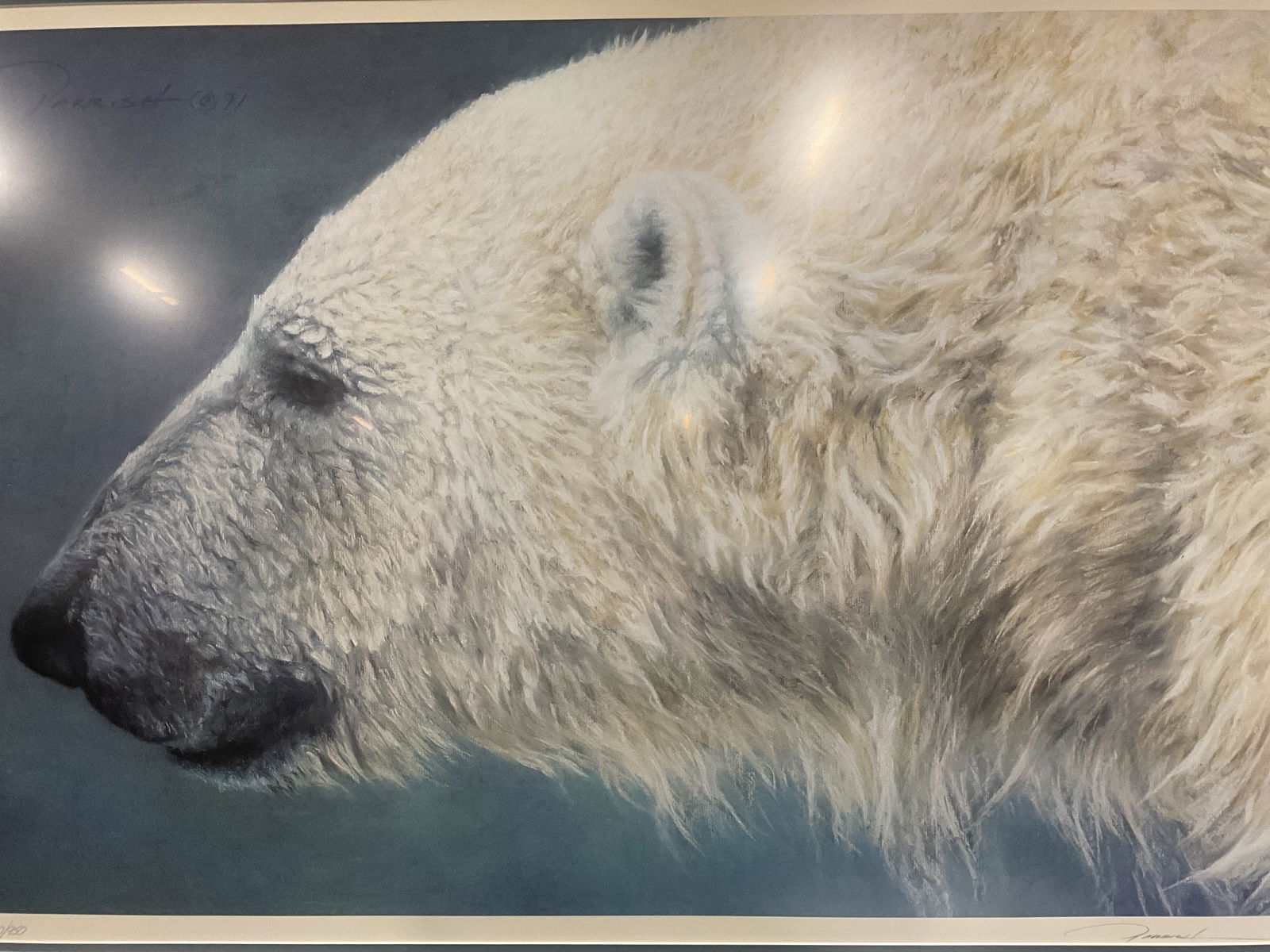 Signed Ltd Edt Bradley Parrish Polar Bear Litho (1 of 7)