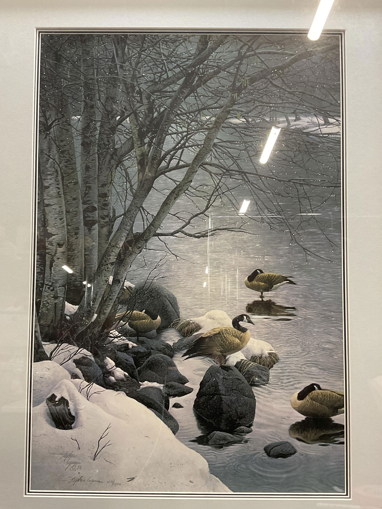 Signed Stephen Lyman Winter Ducks Litho (1 of 6)