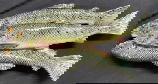 Vintage Trio Of Ceramic Trout Wall Hanging