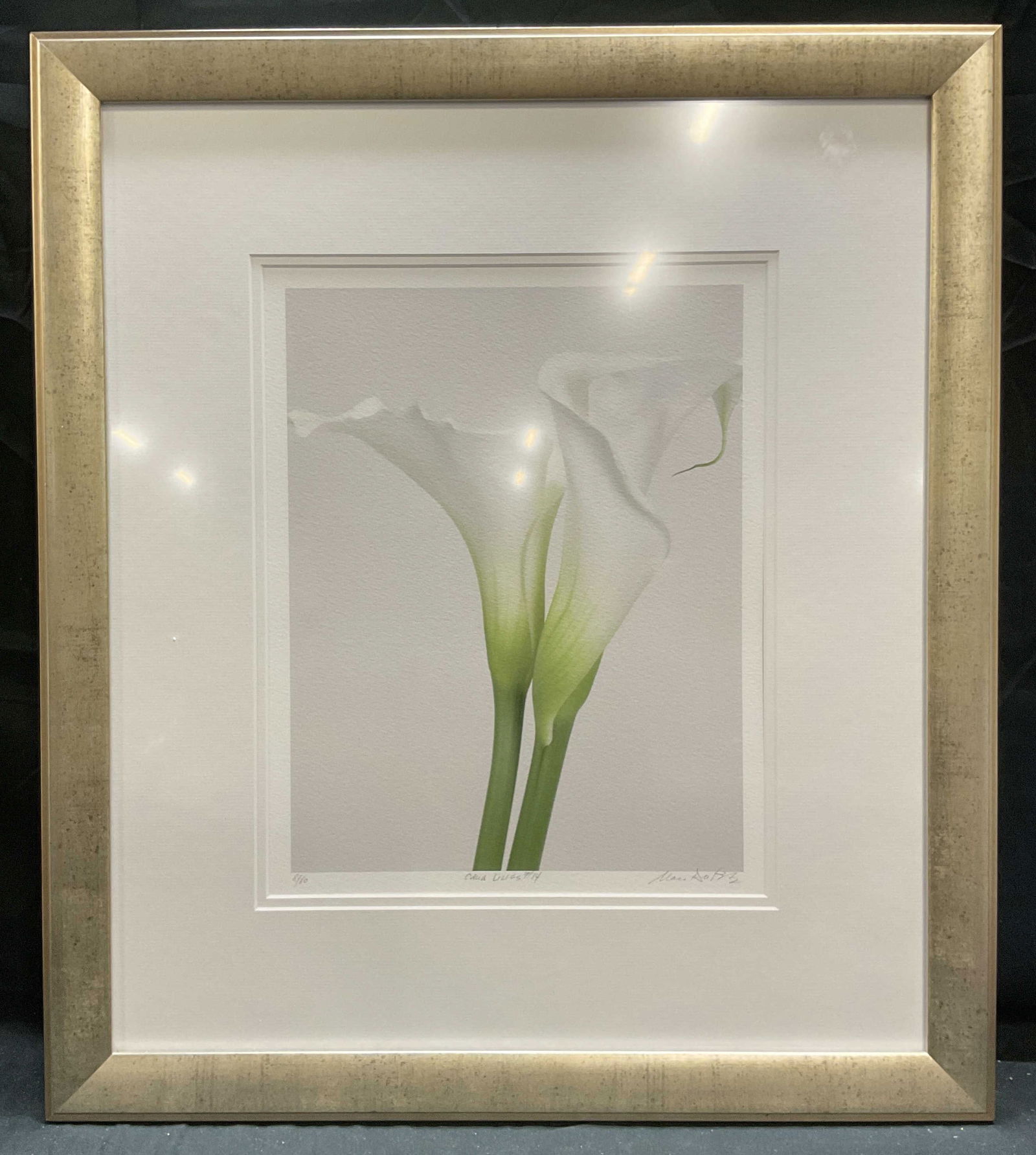Signed Marc Duke Ltd Edt Calla Lilies Print (1 of 6)