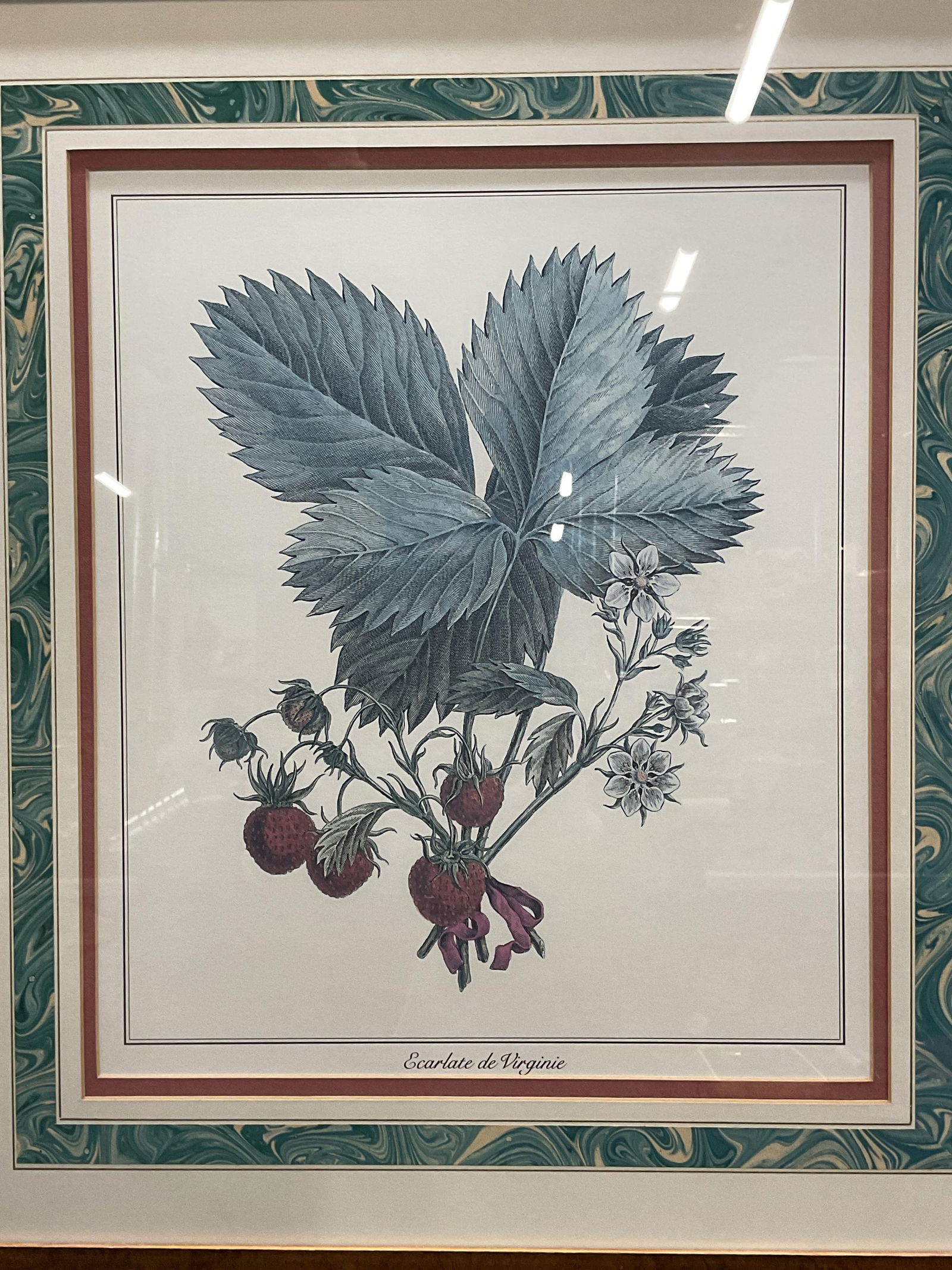 Ecarlate de Virginie Strawberry Lithograph 22in (1 of 6)