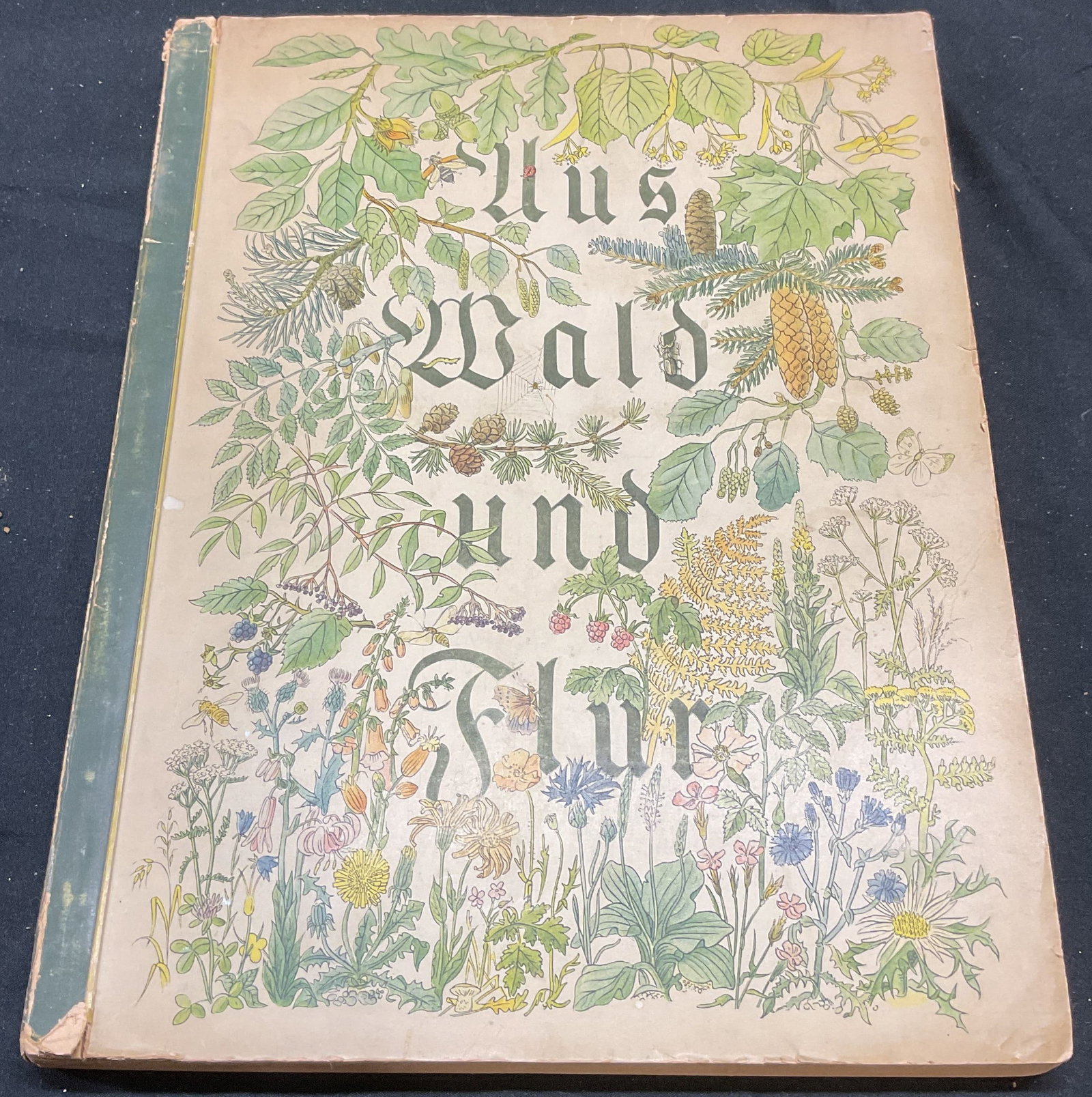 1937 From Forest & Field Illustr Book, German: Softcover copy of From Forest and Field, Plants of Our Homeland by Walter Noldner. Published by Cigaretten Bilderdienst, 1937. Text in German. Illustrated with color prints affixed to pages. Measures 