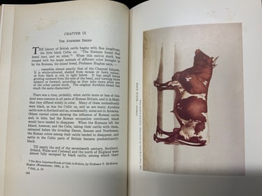 Vintage American Dairy Cattle 1942 Book