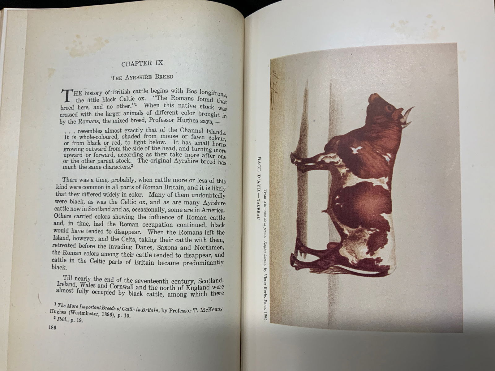 Vintage American Dairy Cattle 1942 Book (1 of 20)