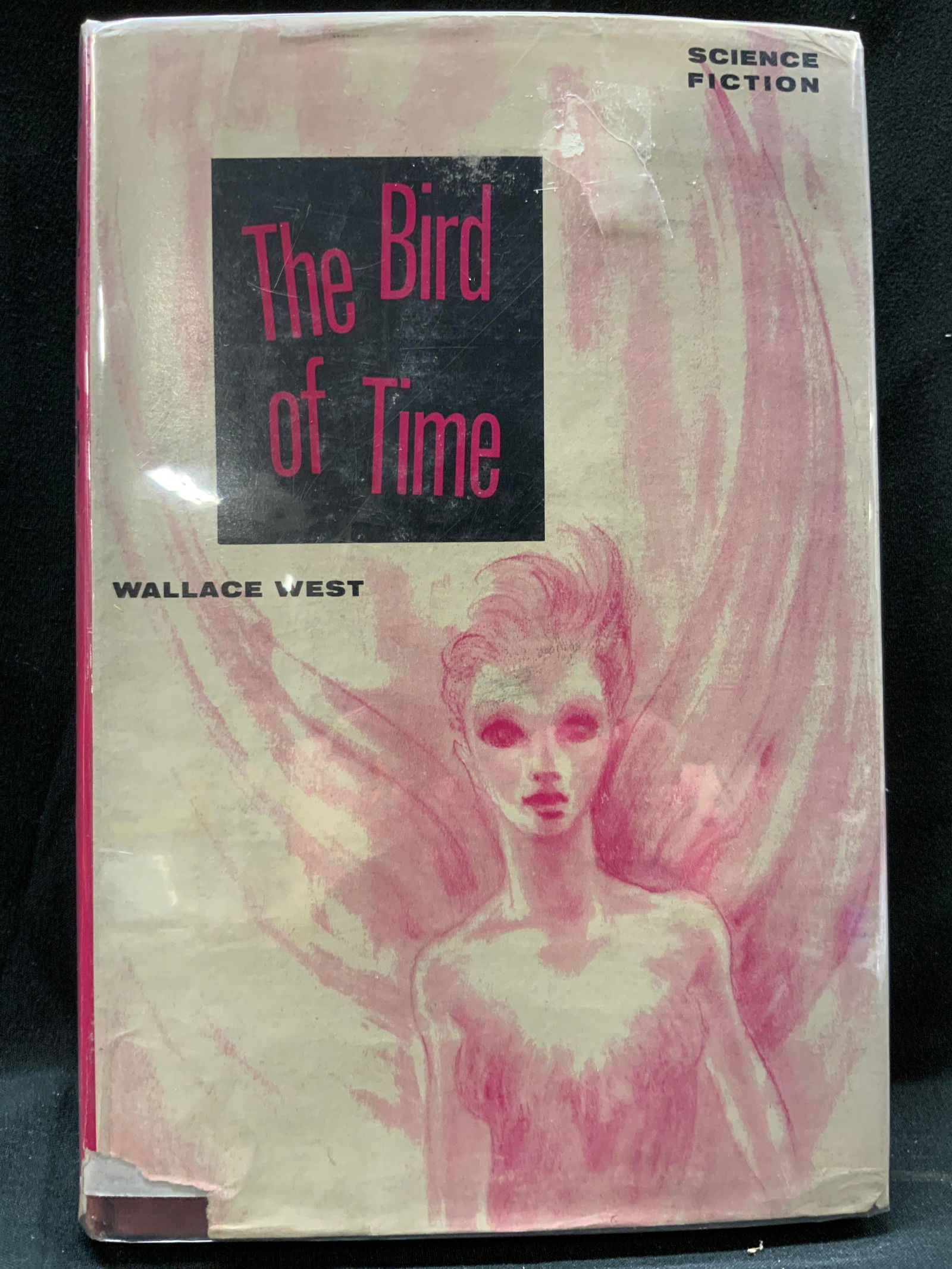 The Bird of Time Illustrated First Edition 1959 (1 of 6)