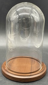 BARDS Glass & Wood Specimen Display Dome