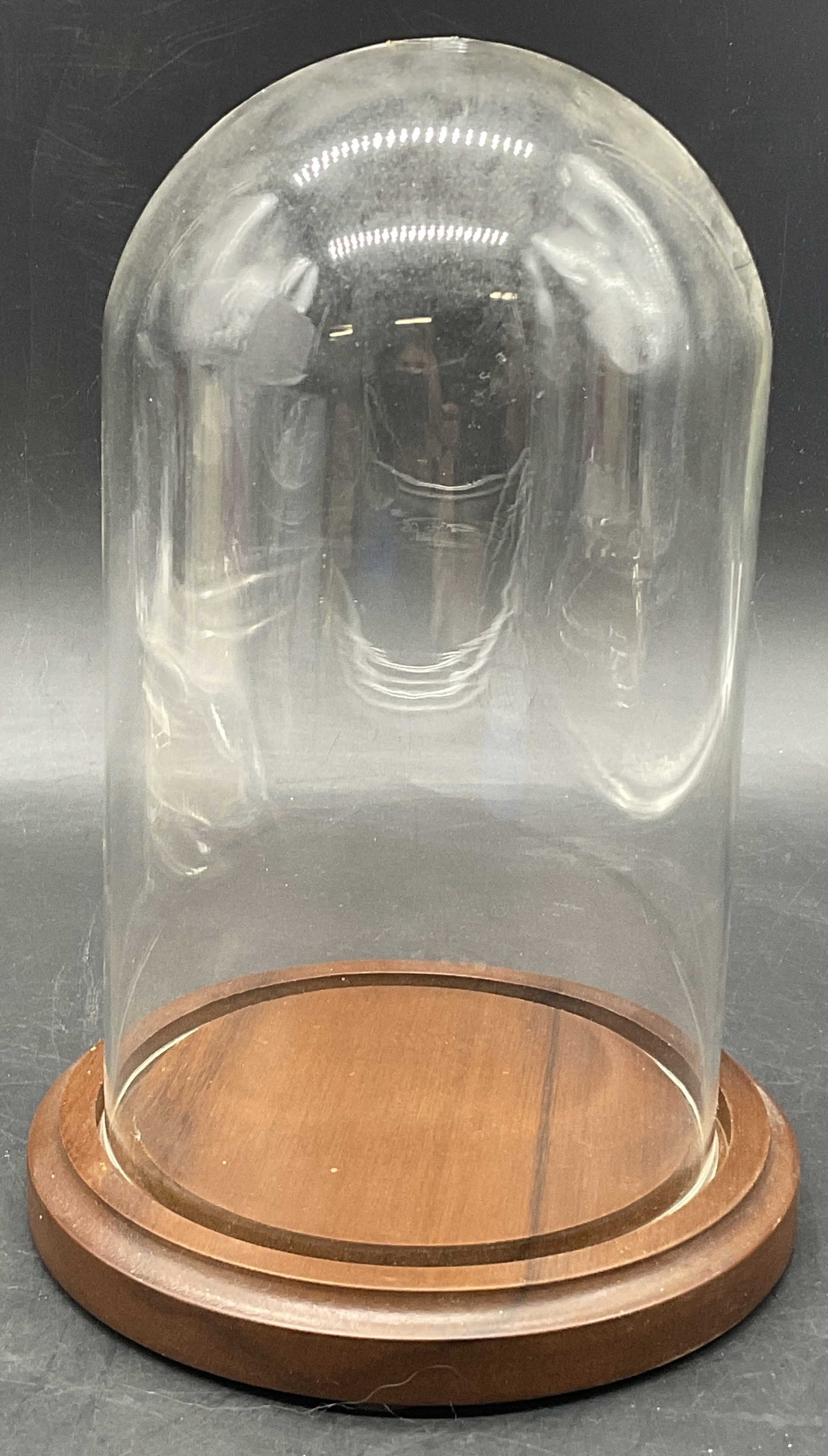 BARDS Glass & Wood Specimen Display Dome (1 of 6)