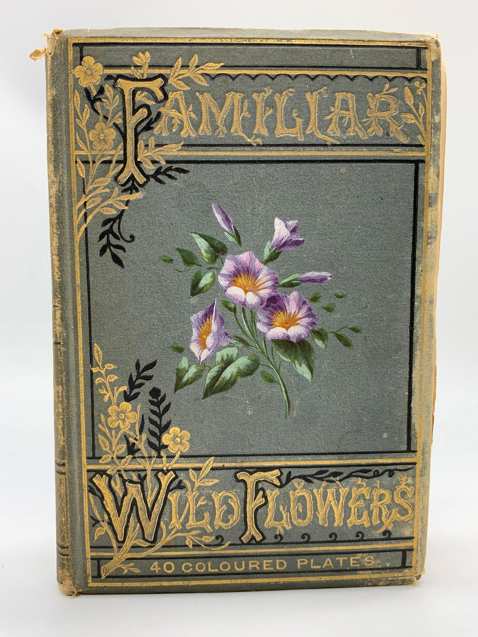 Antq Fmlr Wild Flowers F.Edward Hulme Bk c1880s (1 of 11)