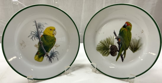 2 National Wildlife Federation Parrot Porc Plates