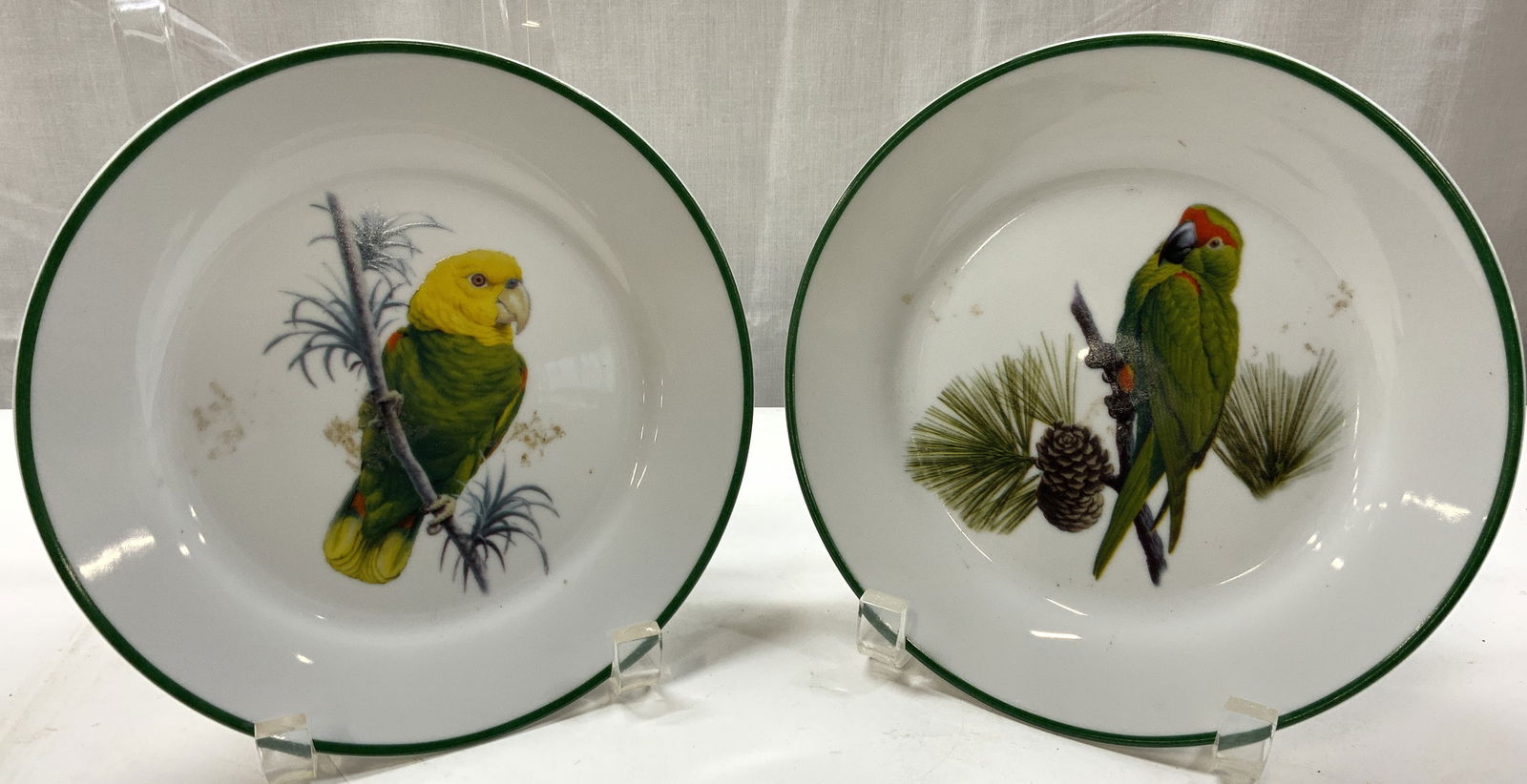 2 National Wildlife Federation Parrot Porc Plates: 2 National Wildlife Federation Parrot Porc Plates 2 porcelain white decorative plates with a green rim. Featuring an image of a parrot perched on a branch. Signed & marked. Surface wear consistent to