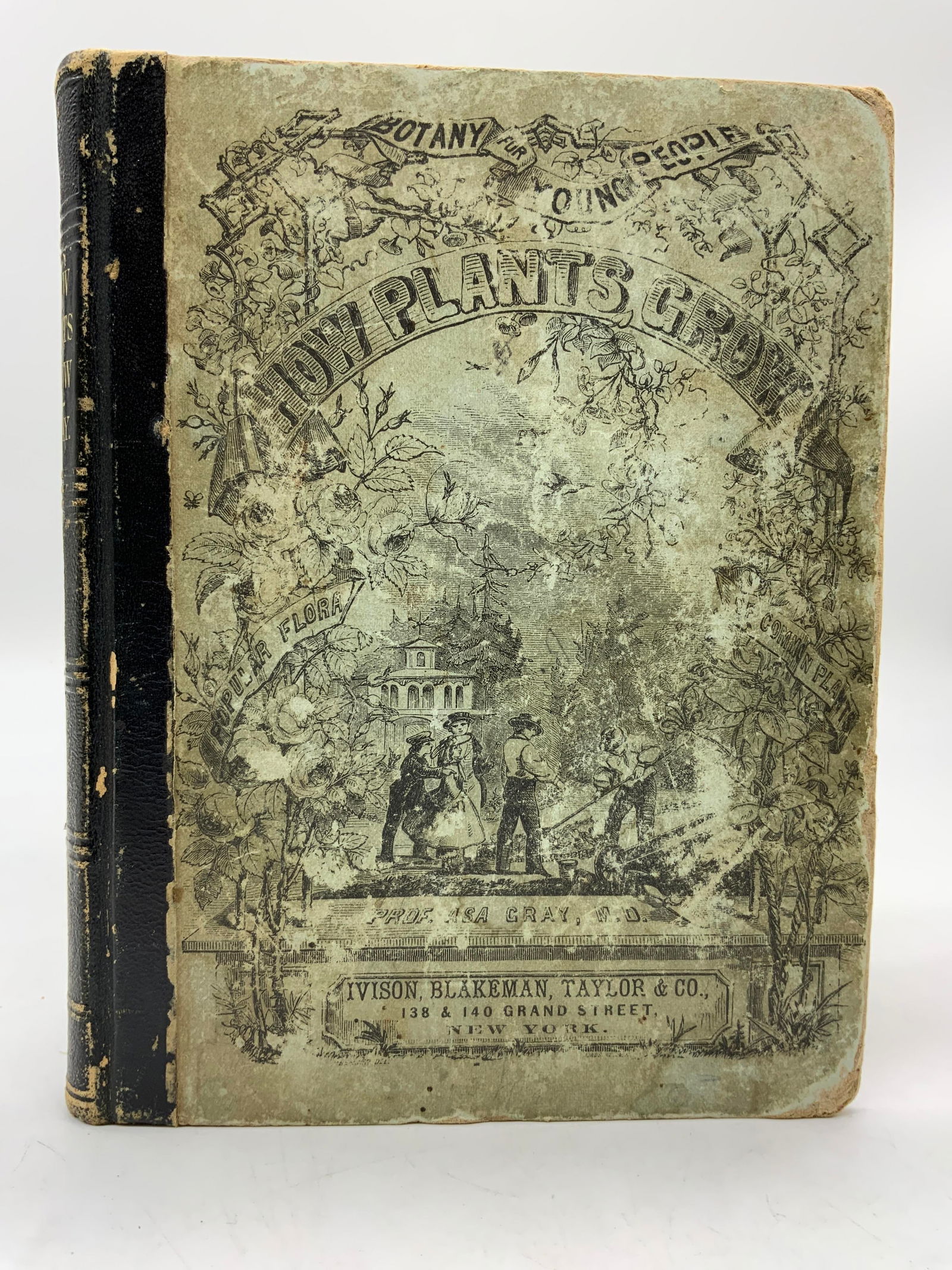 Antq How Plants Grow Illustrated Book 1878 AsaGray (1 of 9)