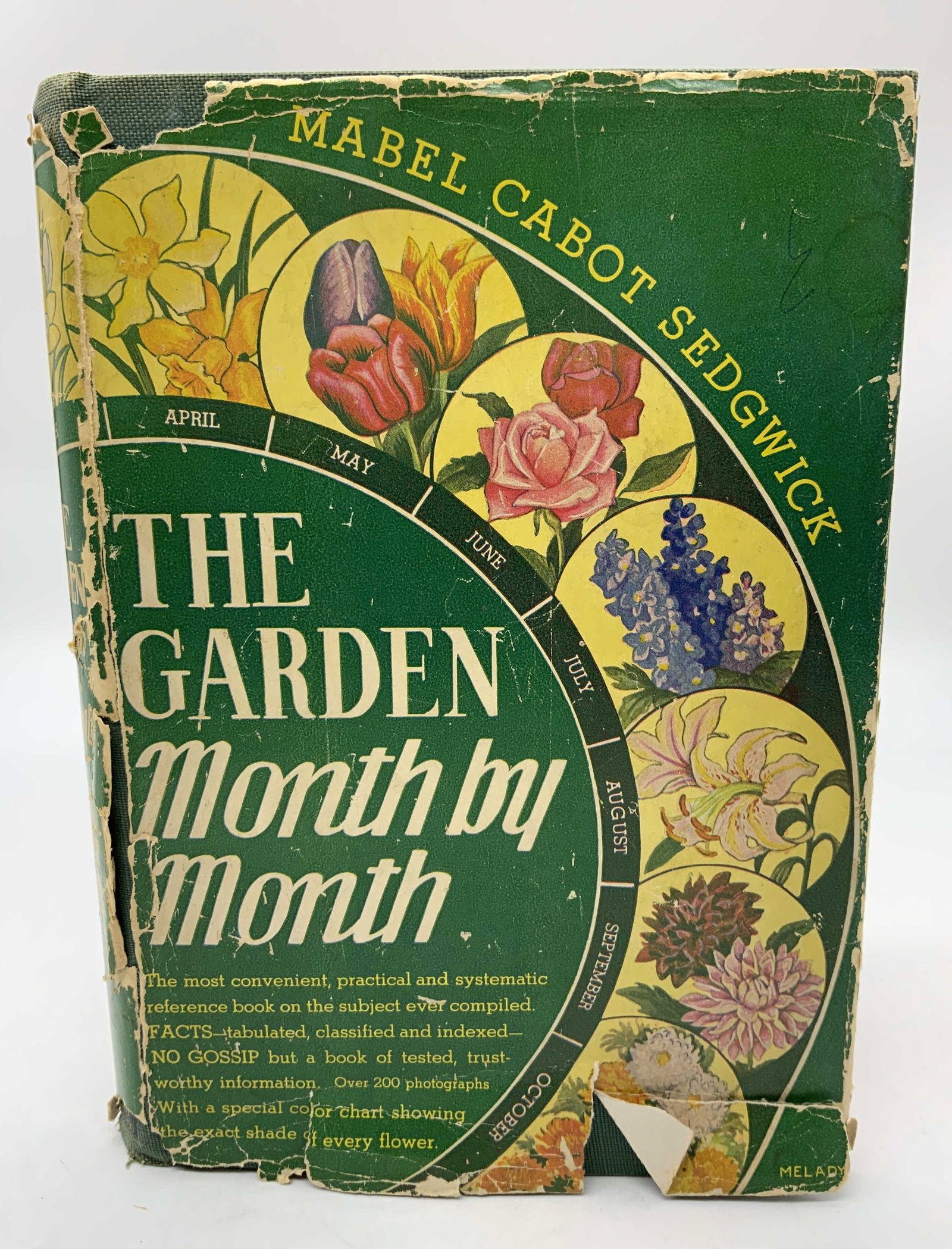 Antq Garden Month by Month Illustr Bk 1907 Sedgwick: The Garden Month by Month Illustr Book 1907 MABEL Hardcover book by Mabel Cabot Sedgwick & assisted by Robert Cameron. GARDEN CITY PUBLISHING COMPANY. Book features images & descriptions of gardens. S