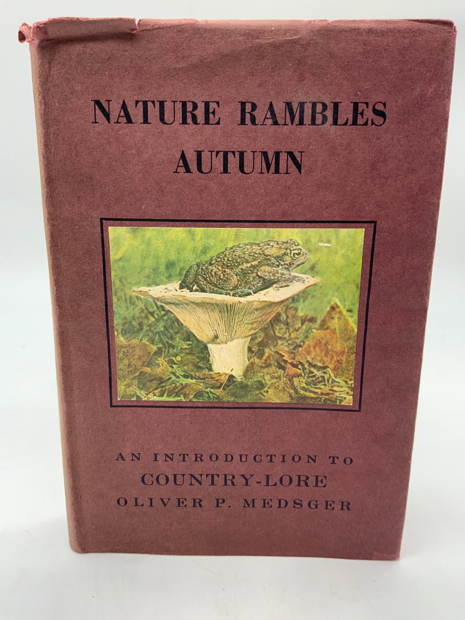Vntg Nature Rambles Autumn Illustr Bk 1932 Medsger: Nature Rambles Autumn Illustrated Book 1932 OLIVER Vintage hardcover book by Oliver Perry Medsger. Nature Rambles Autumn. Ana introduction to Country-Lore. Published by Frederick Warner & CO. Publishe