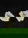 item-209420882=7