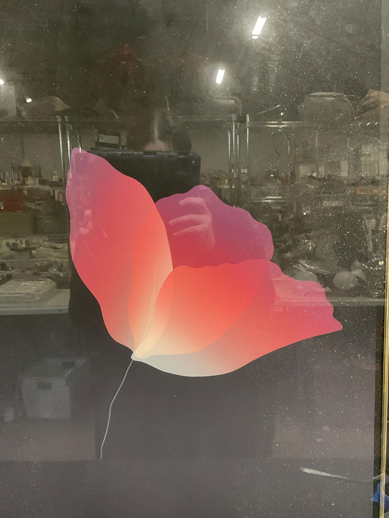 Framed Signed Kozu Inoue Flower Serigraph 40in (1 of 6)