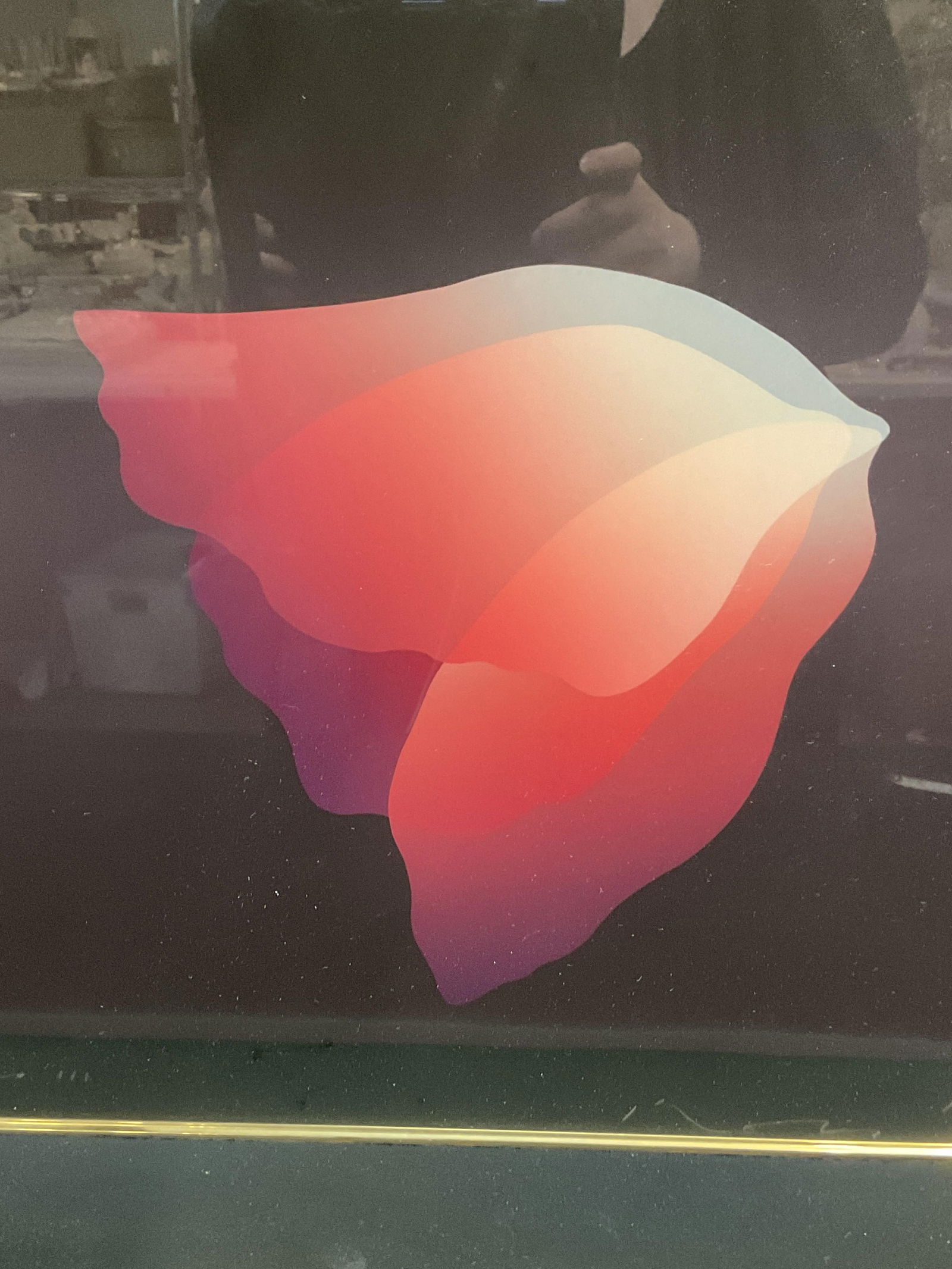 Framed Signed Josue Inoue Flower Serigraph (1 of 6)