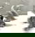 item-209903678=1