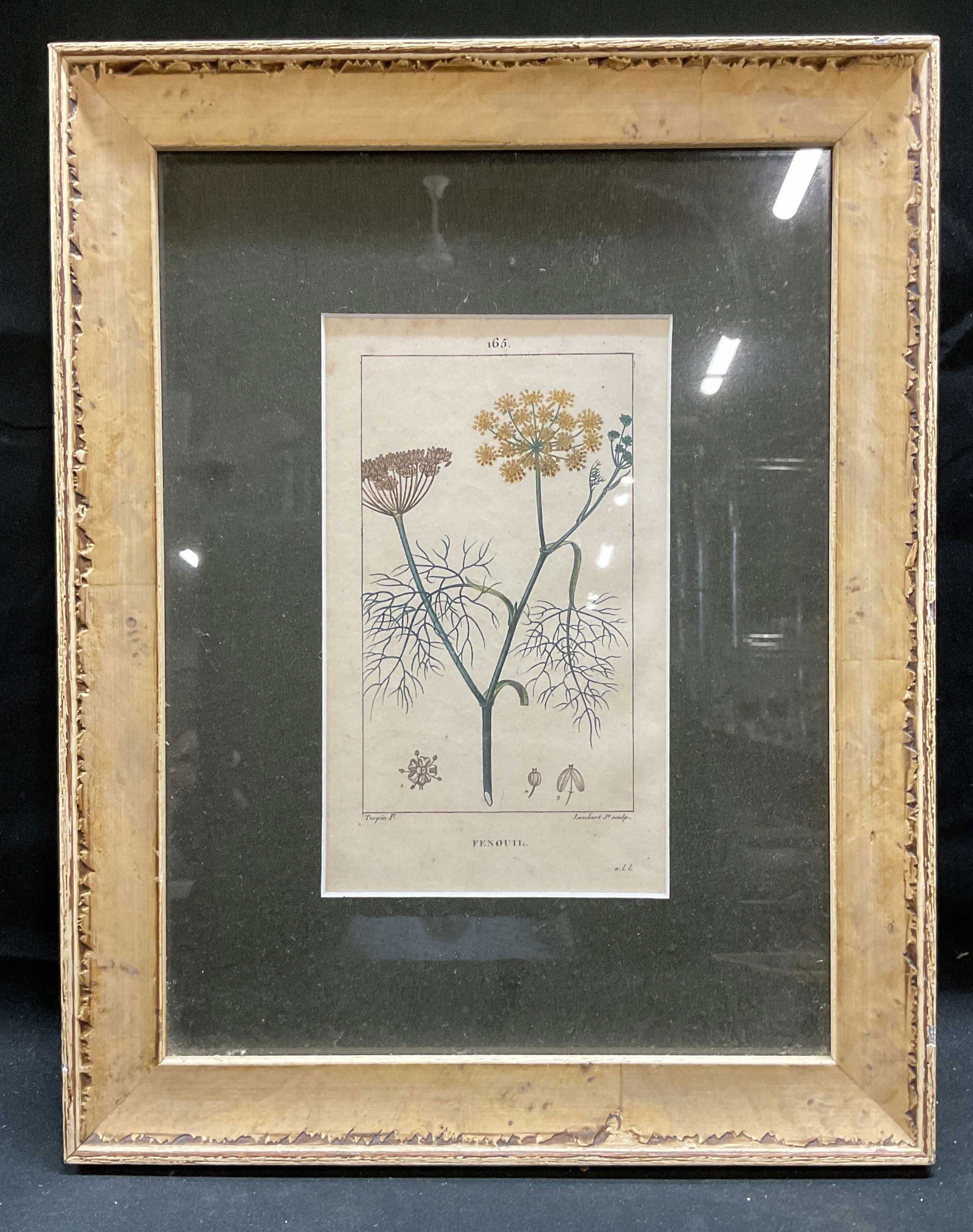 Antique Framed Fennel Colored Engraving (1 of 7)