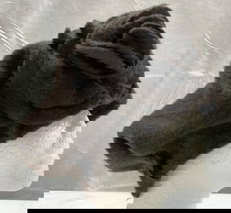 Dark Brown Wool Beret Hat W Flower, Russia: Dark Brown Wool Beret Hat W Flower Embellishment Wool brown beret hat that has a flower detail on the front. Partial tag. MADE IN RUSSIA. Surface wear consistent to age, use & exposure. Measurements: