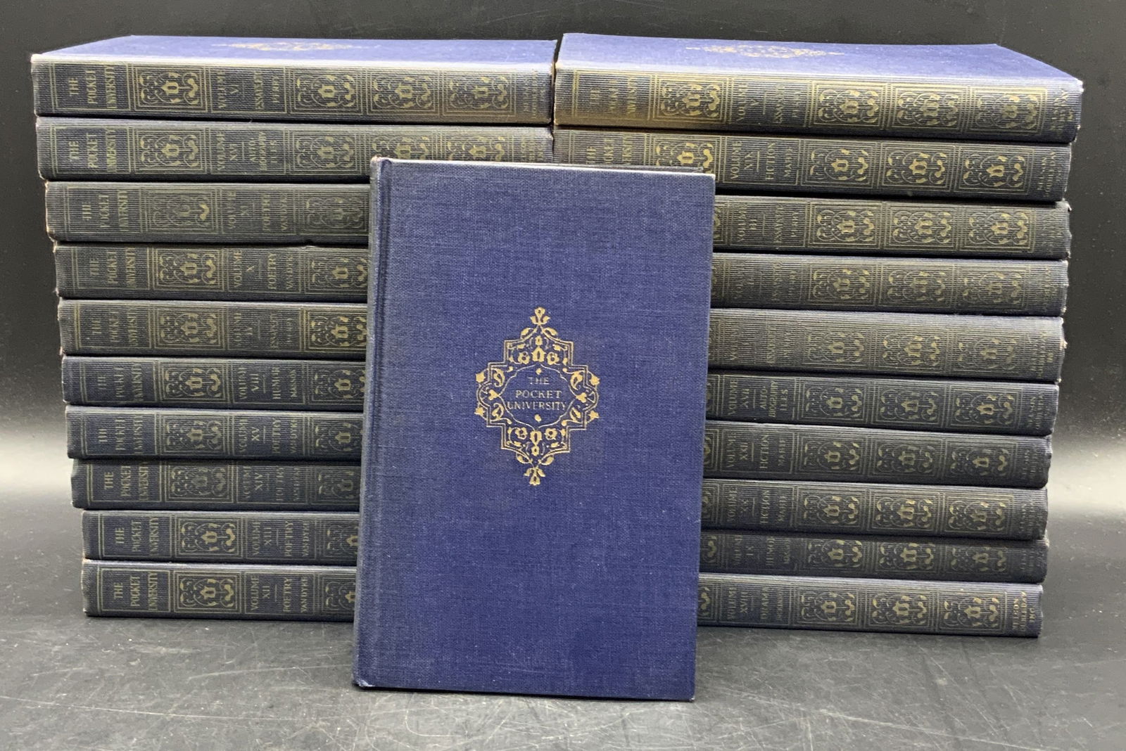 Set 21 THE POCKET UNIVERSITY 1924 Doubleday Books (1 of 7)